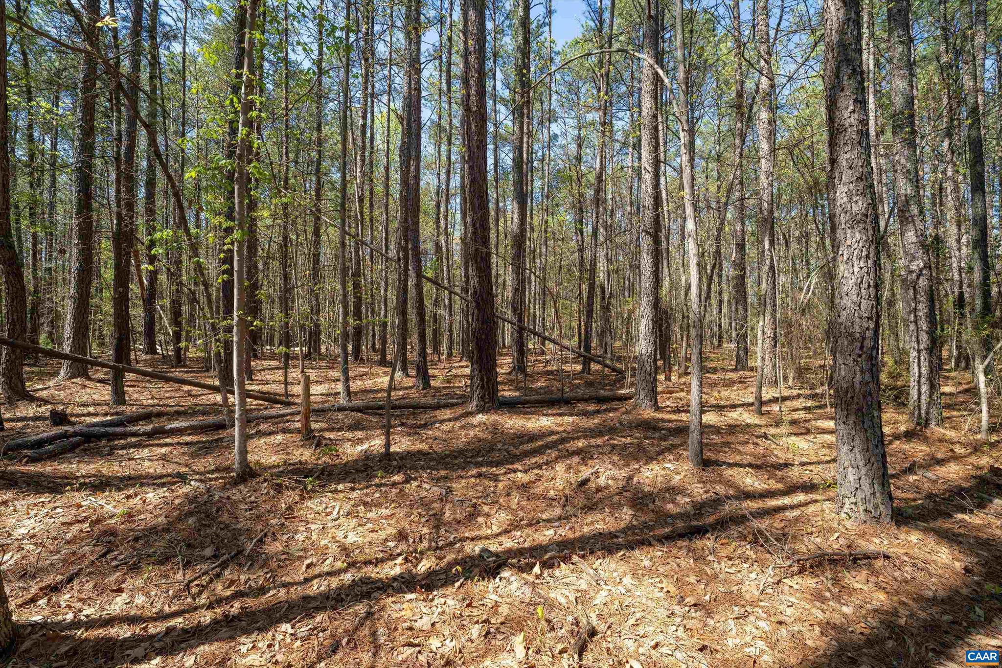 SADDLEWOOD FARMS - Land