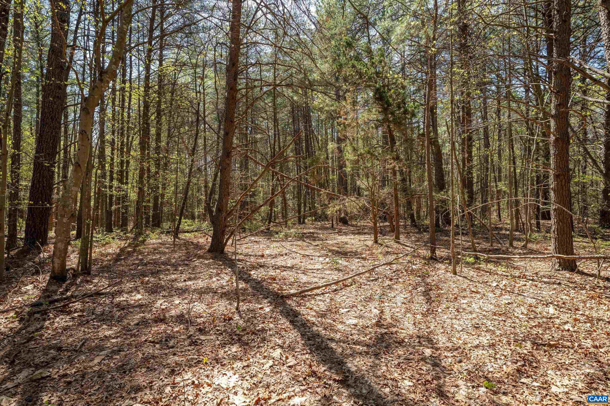 SADDLEWOOD FARMS - Land