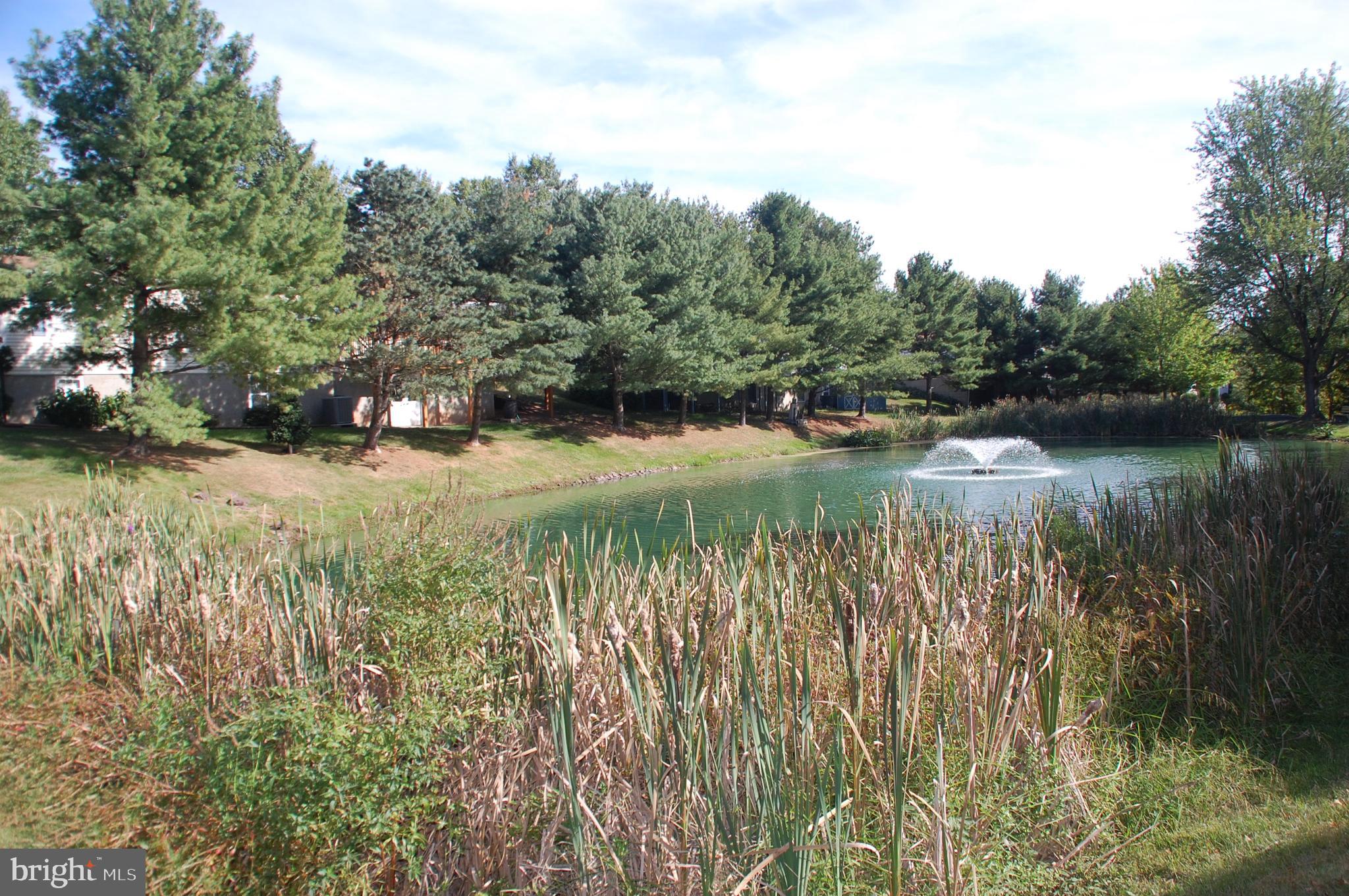 HIDDEN SPRINGS - Residential