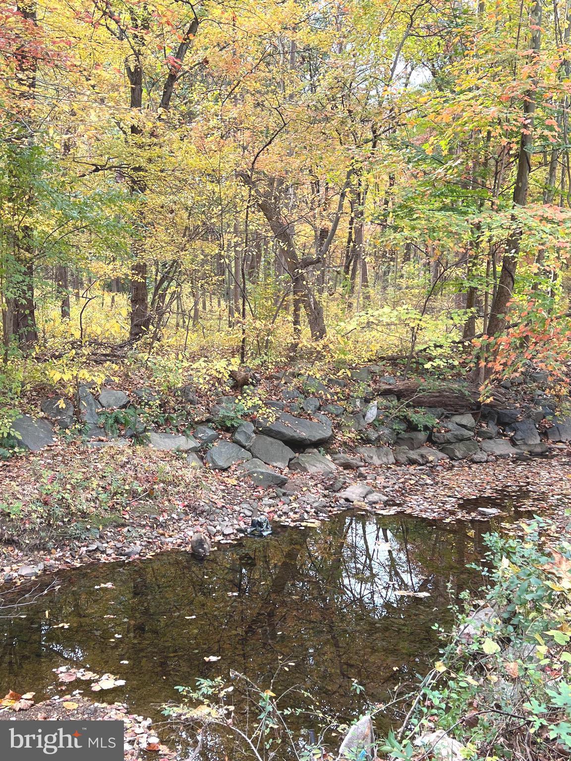 BRIGHTON WEST - Residential