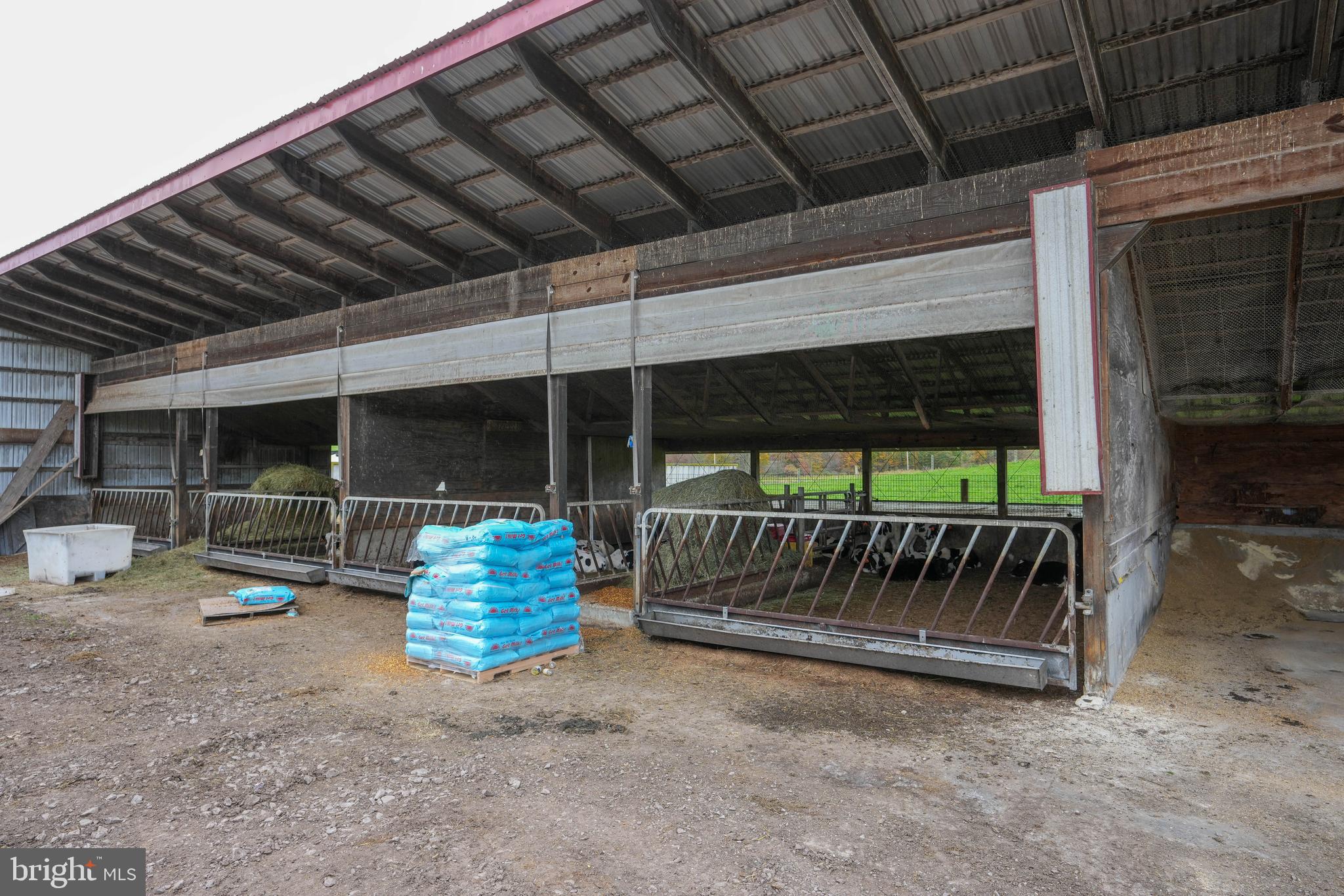 NONE AVAILABLE - Farm