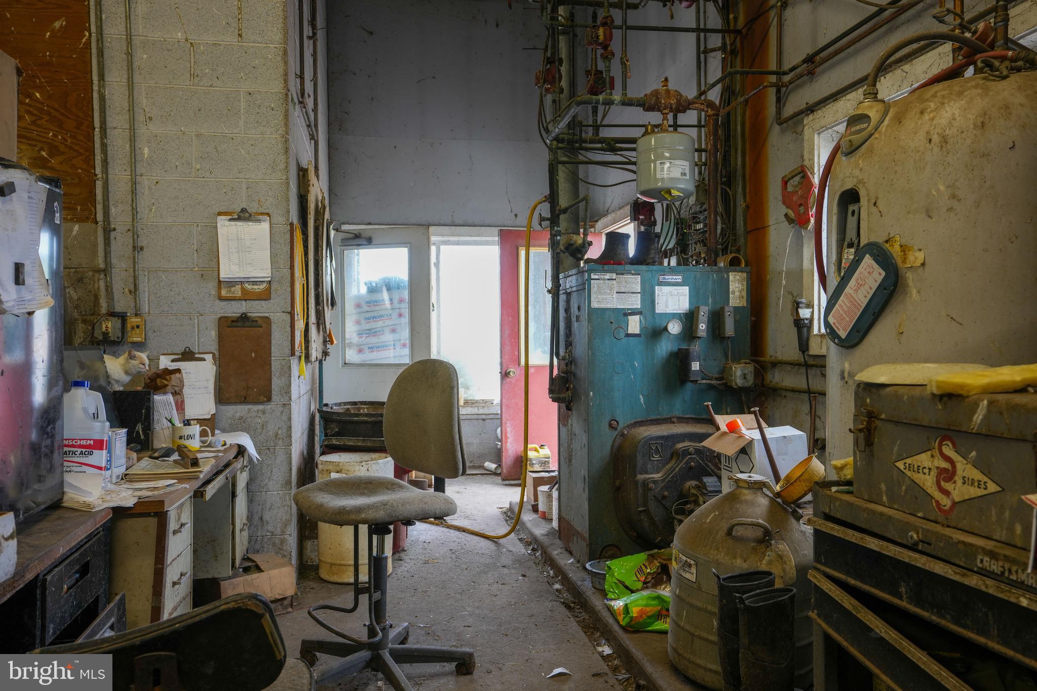 NONE AVAILABLE - Farm