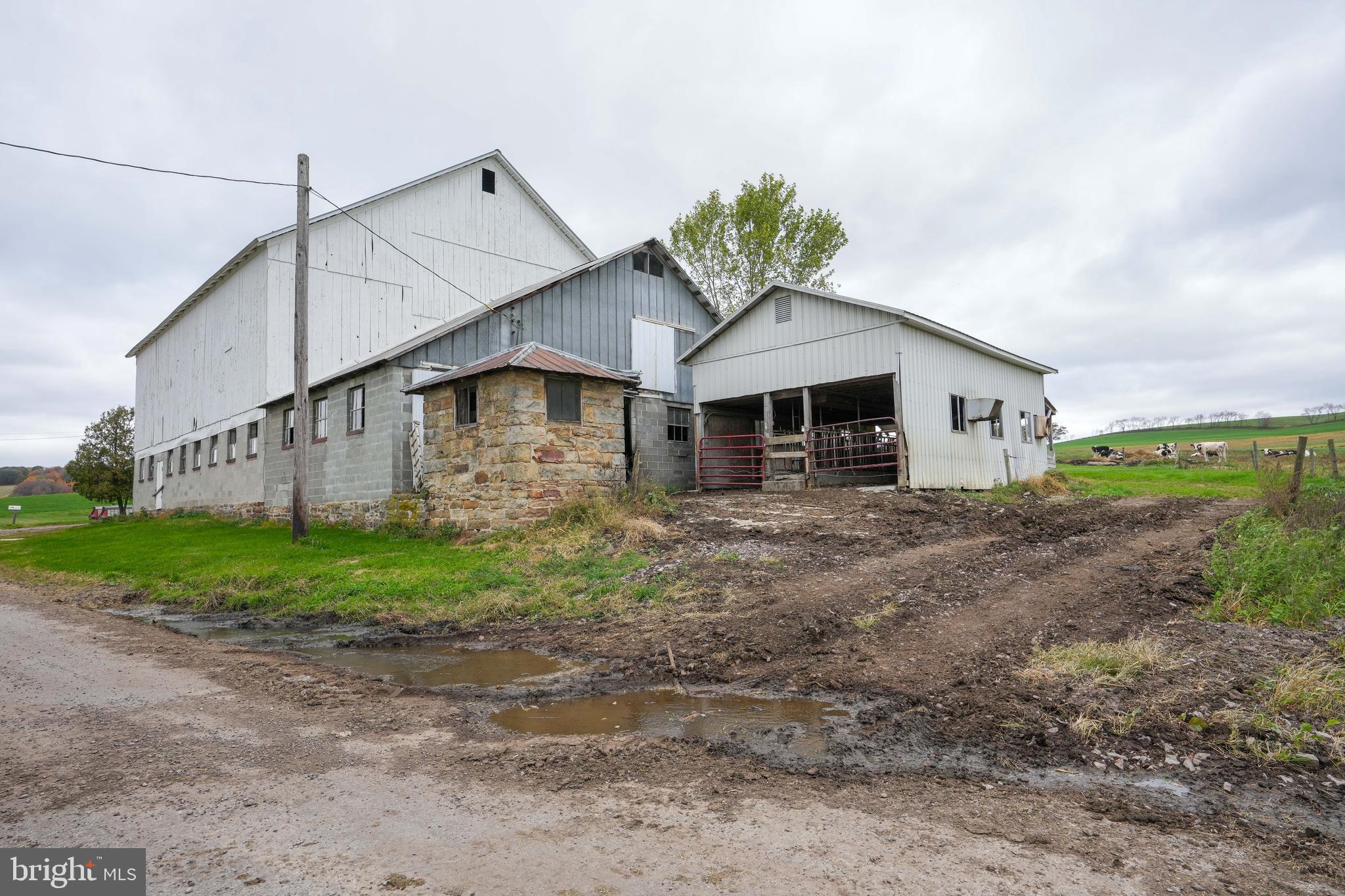 NONE AVAILABLE - Farm