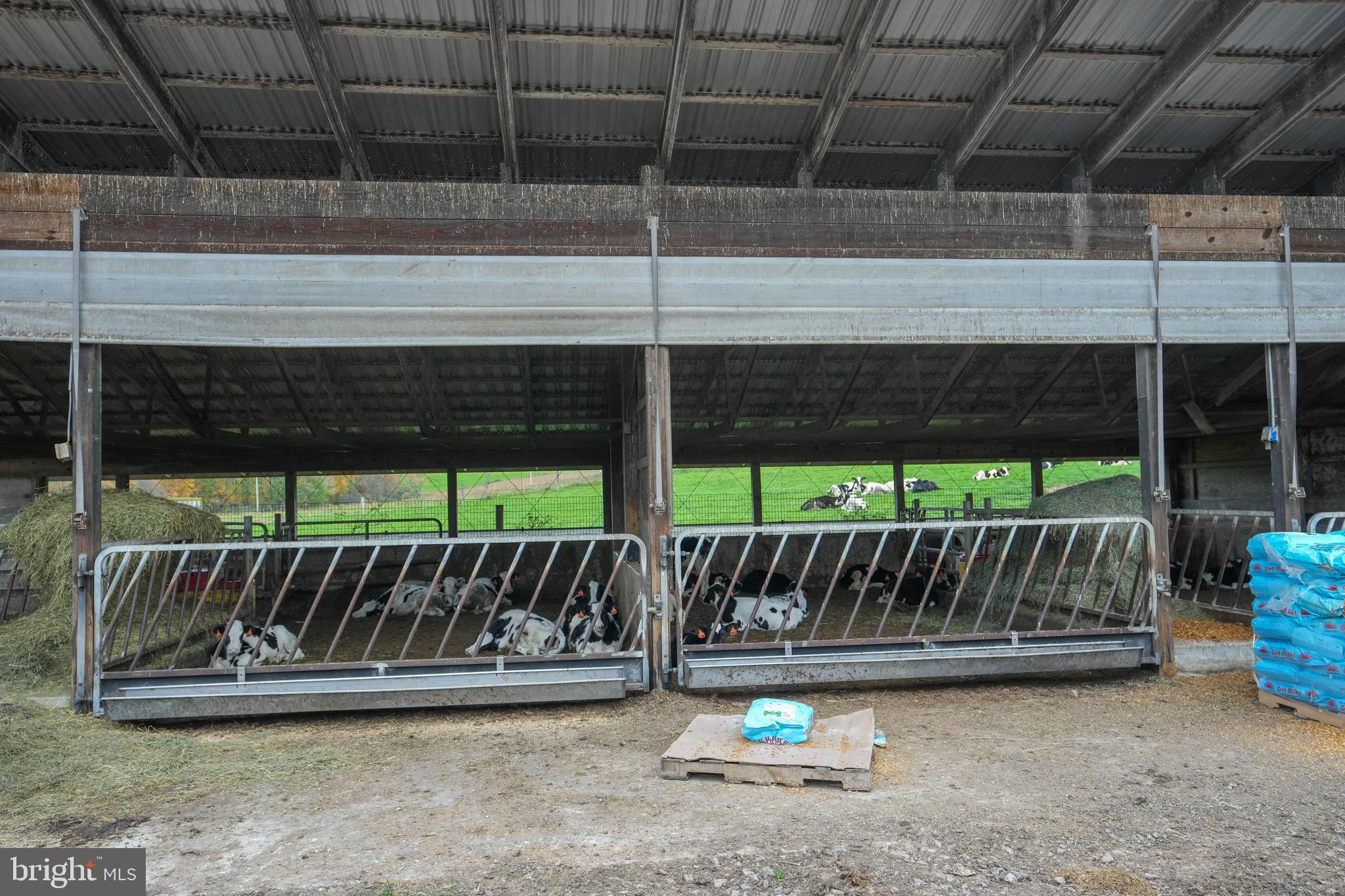 NONE AVAILABLE - Farm