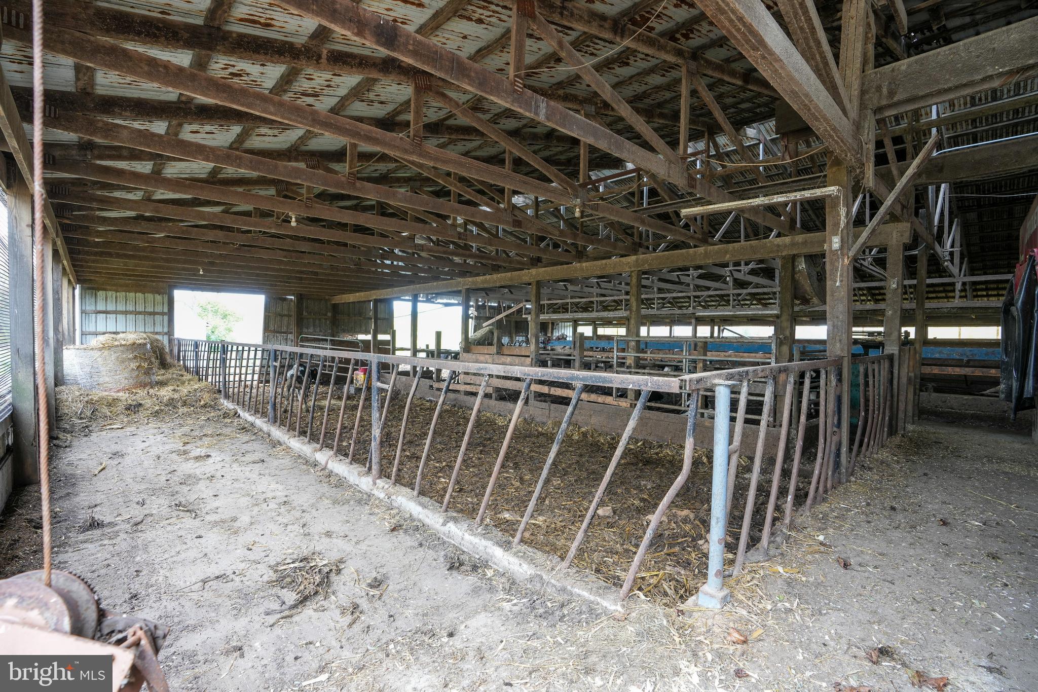 NONE AVAILABLE - Farm