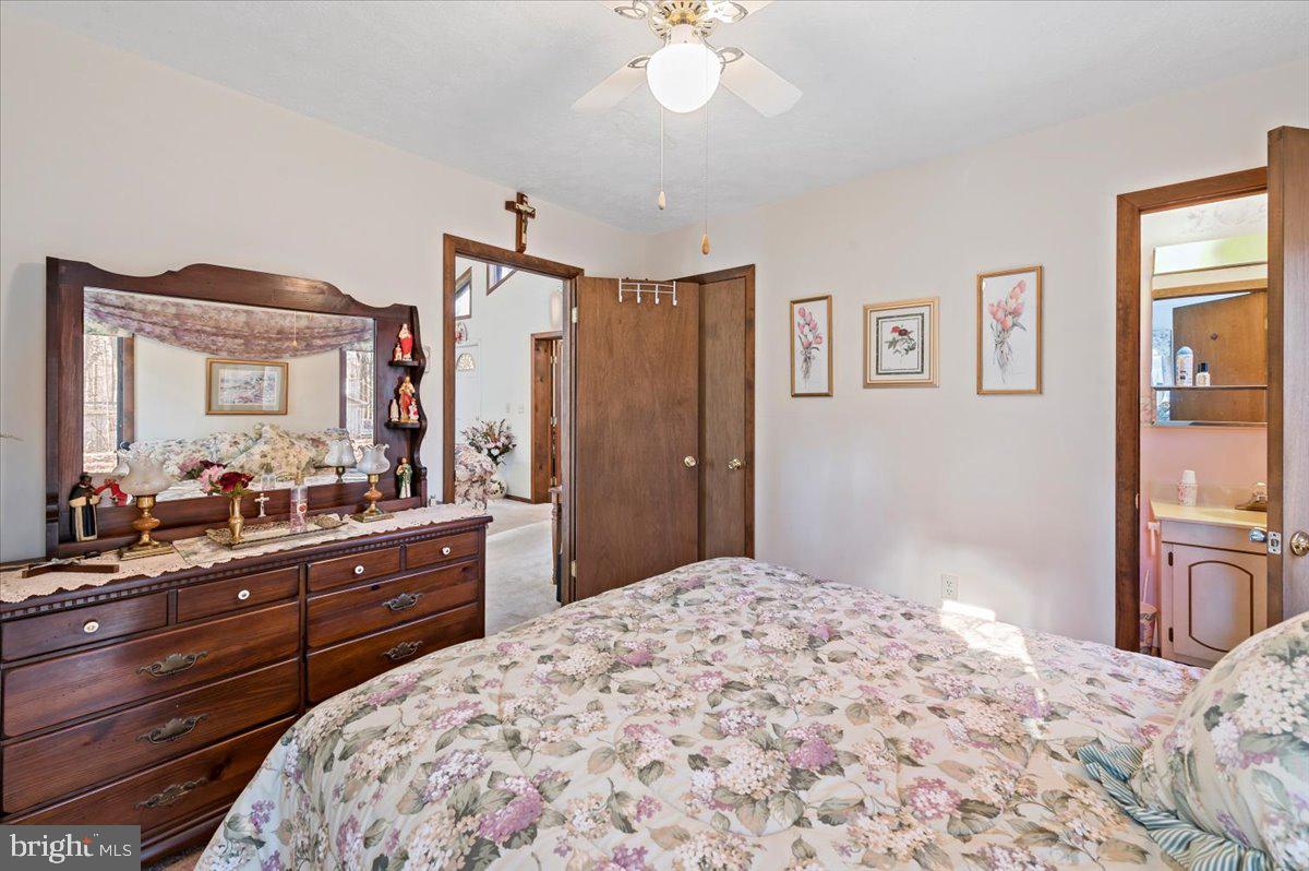 MUSHROOM FARMS - Residential