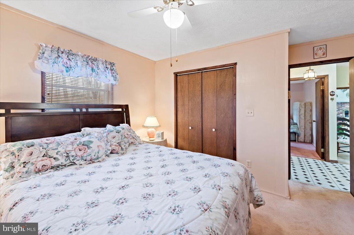 MUSHROOM FARMS - Residential