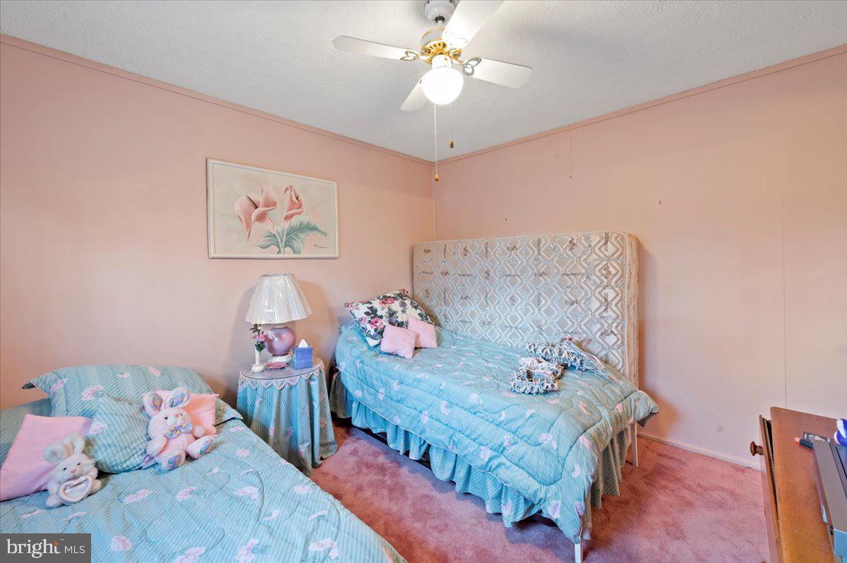 MUSHROOM FARMS - Residential