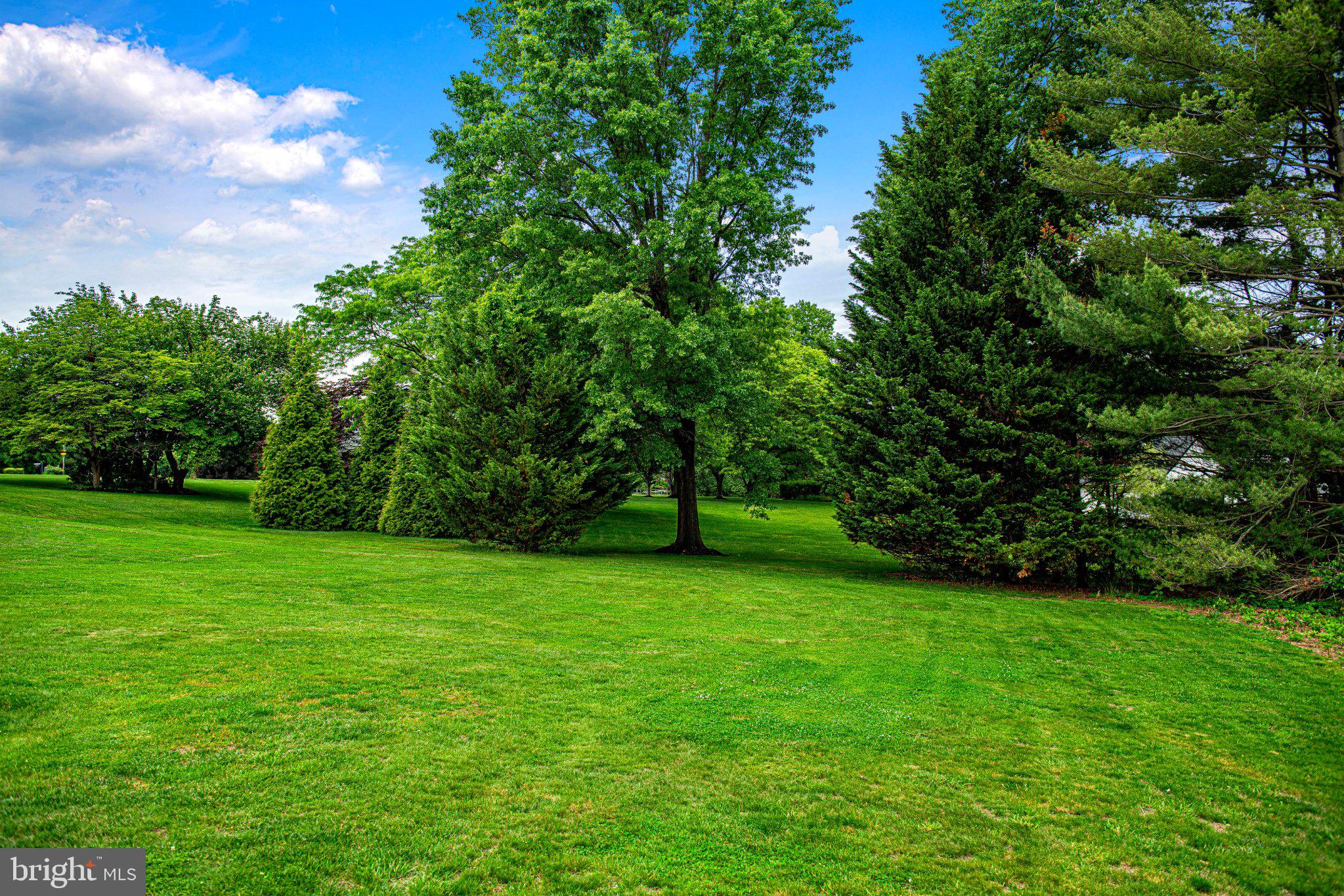 CARROLL MANOR RIDGE - Residential