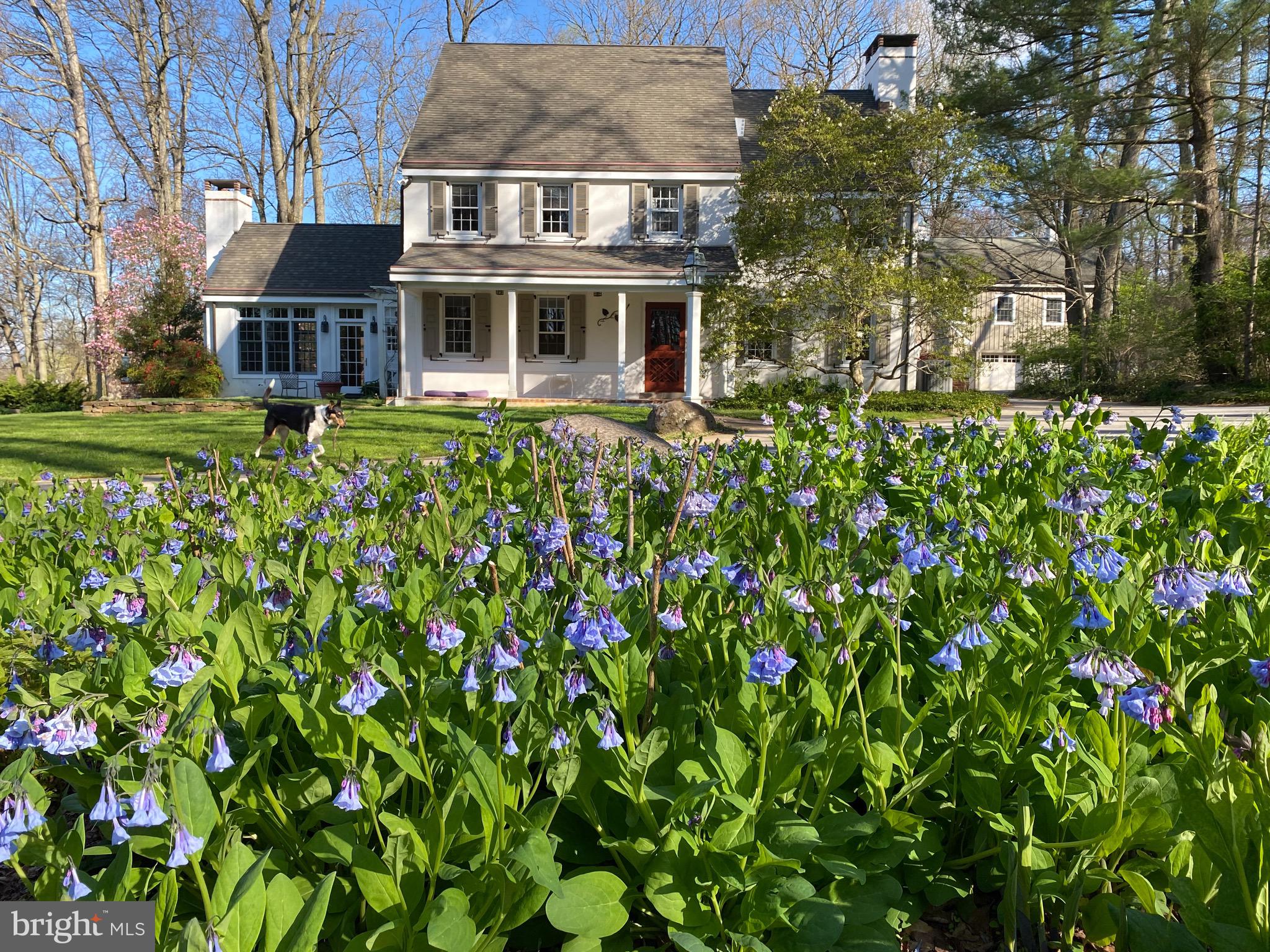 RADNOR HUNT - Residential