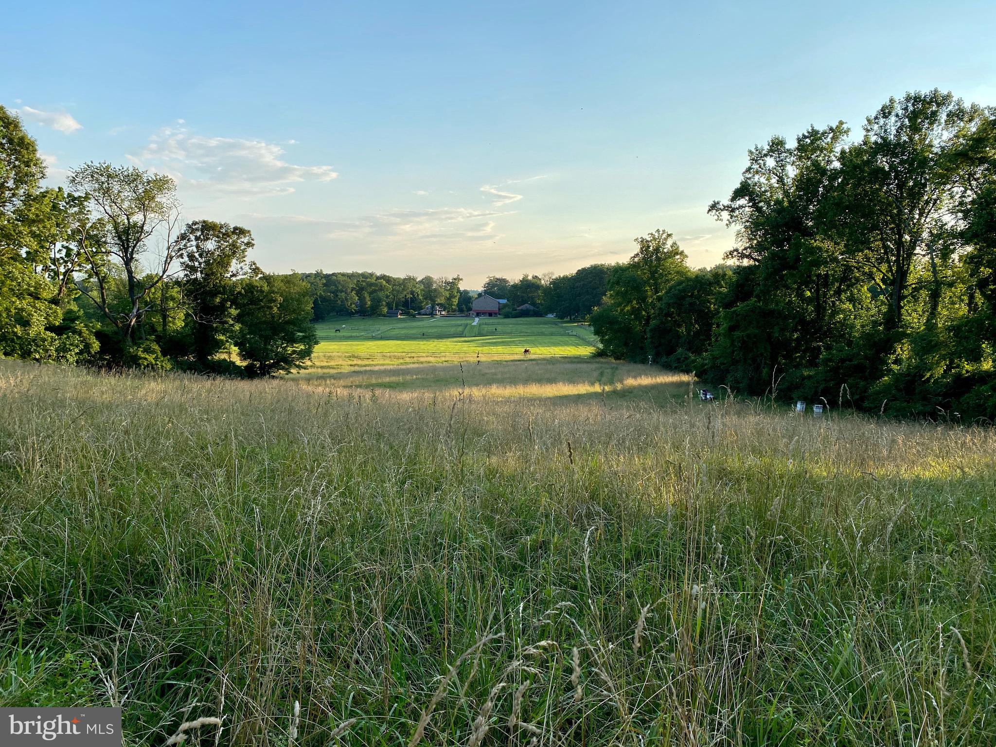 RADNOR HUNT - Residential