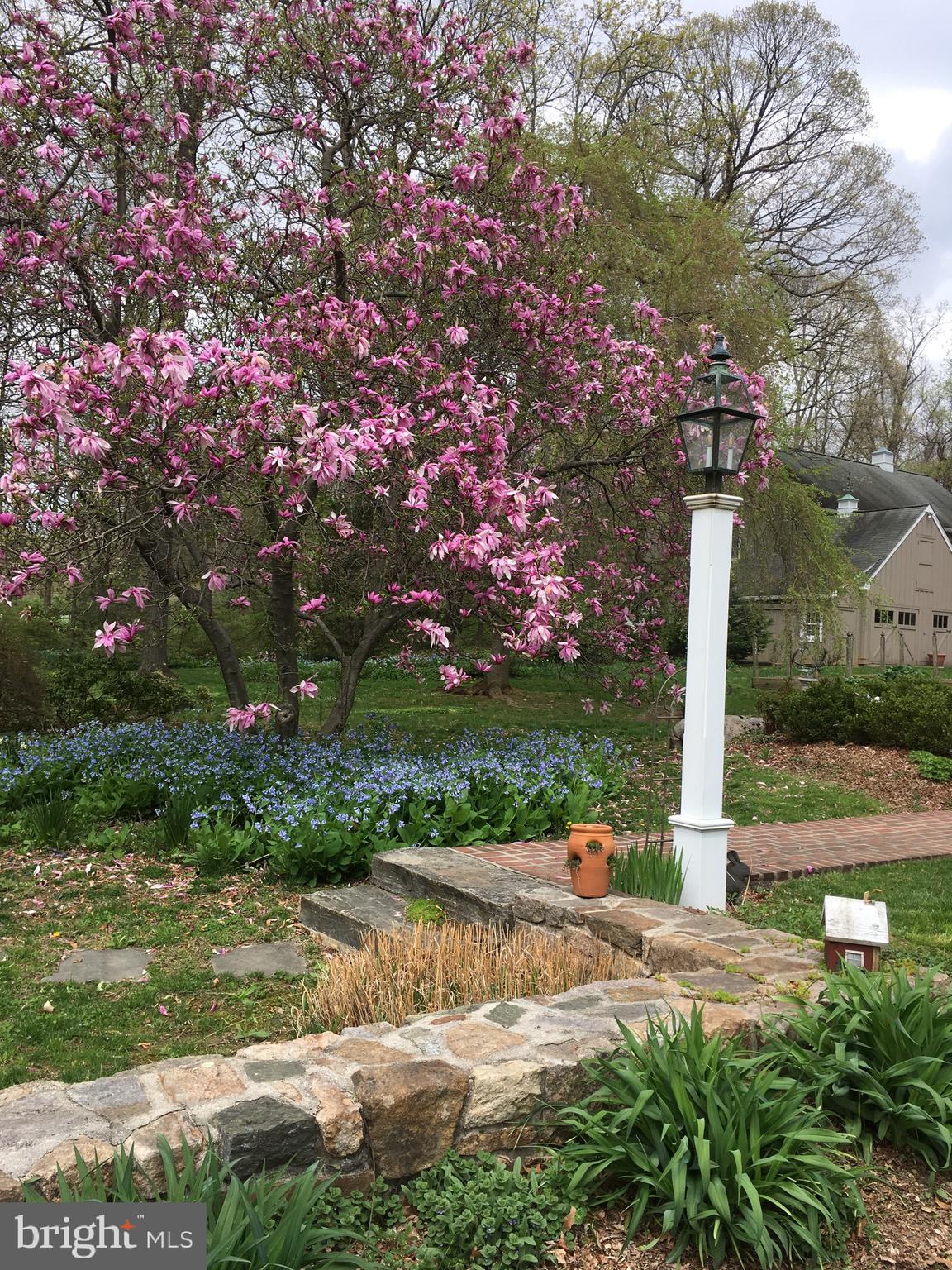 RADNOR HUNT - Residential