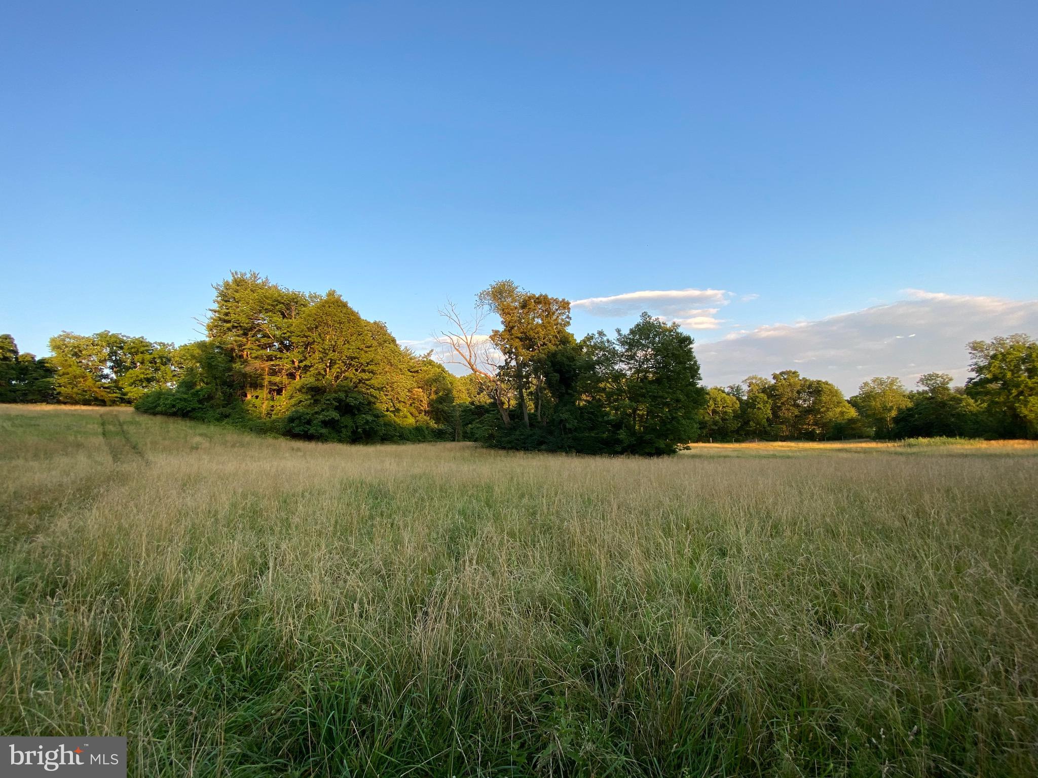 RADNOR HUNT - Residential