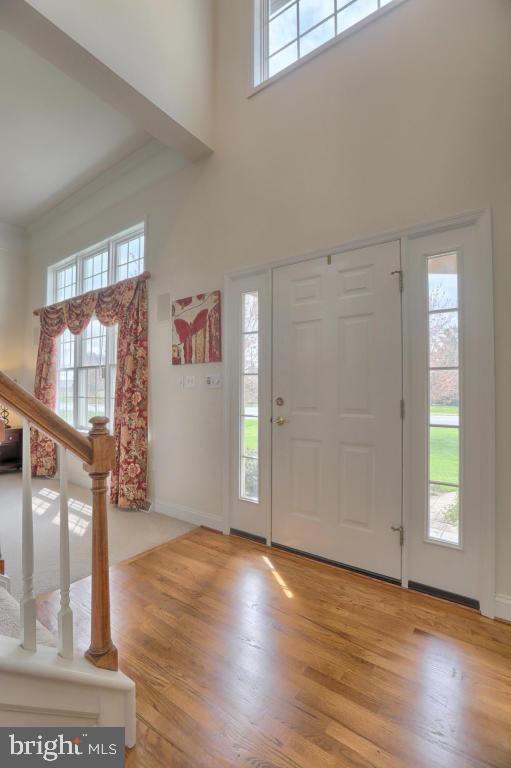 OLDE FIELD - Residential