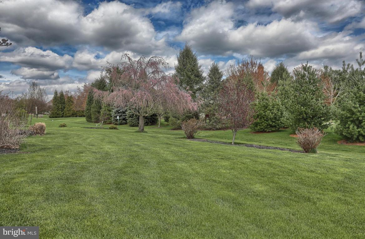 OLDE FIELD - Residential