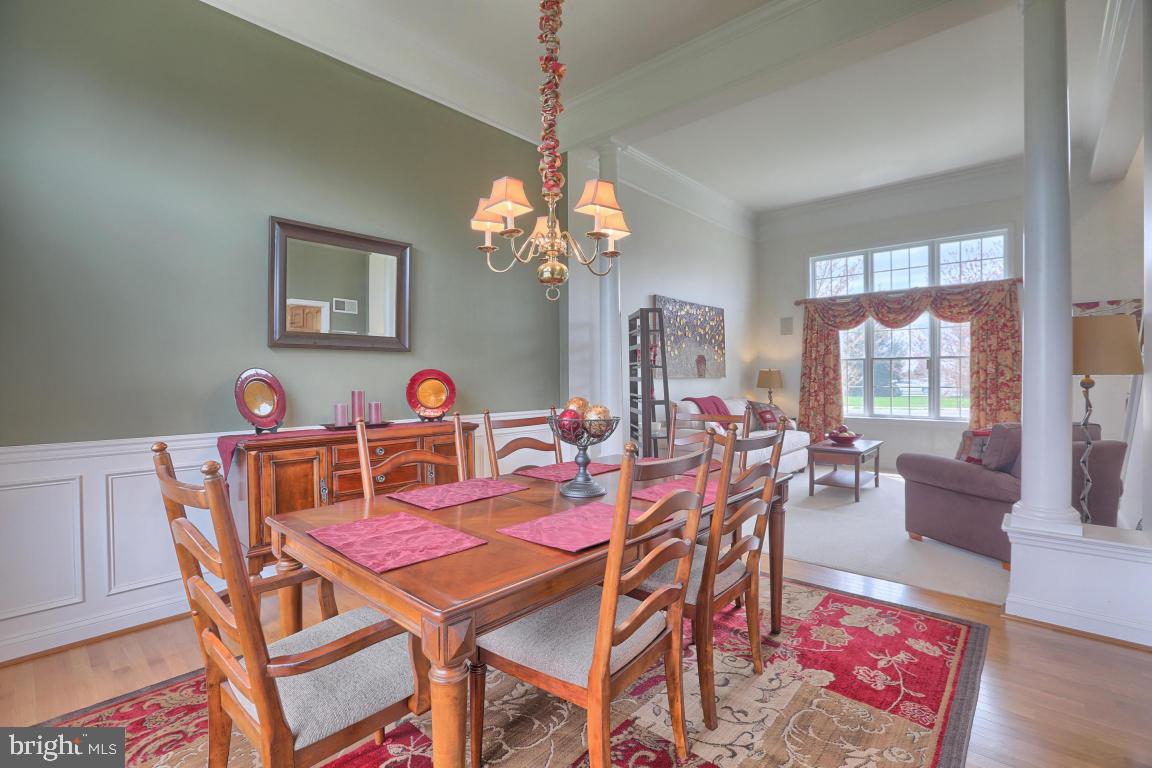 OLDE FIELD - Residential