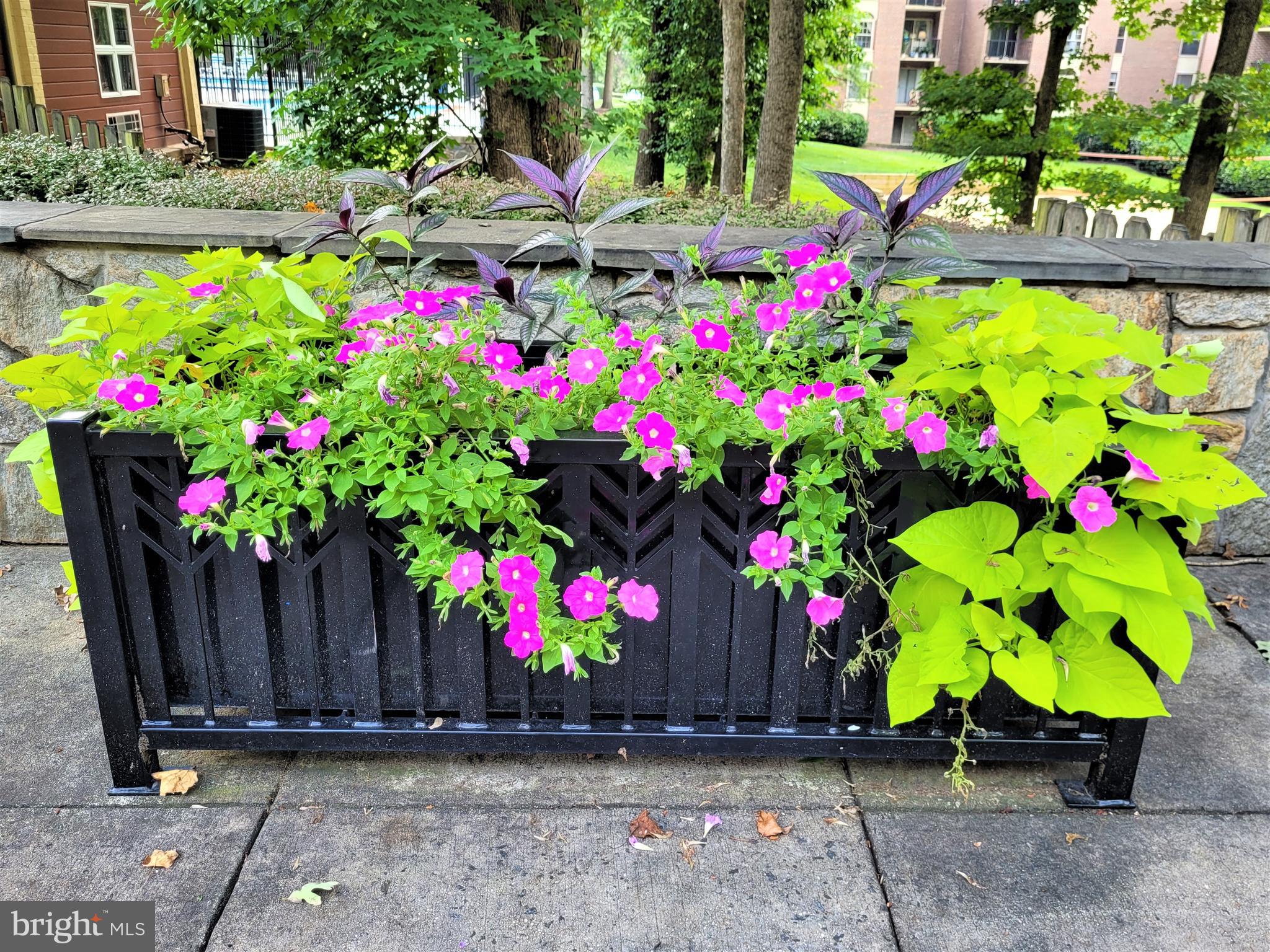 WOODBURN VILLAGE - Residential