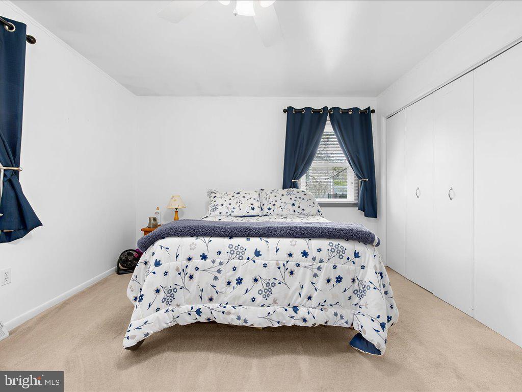 ELMHURST - Residential