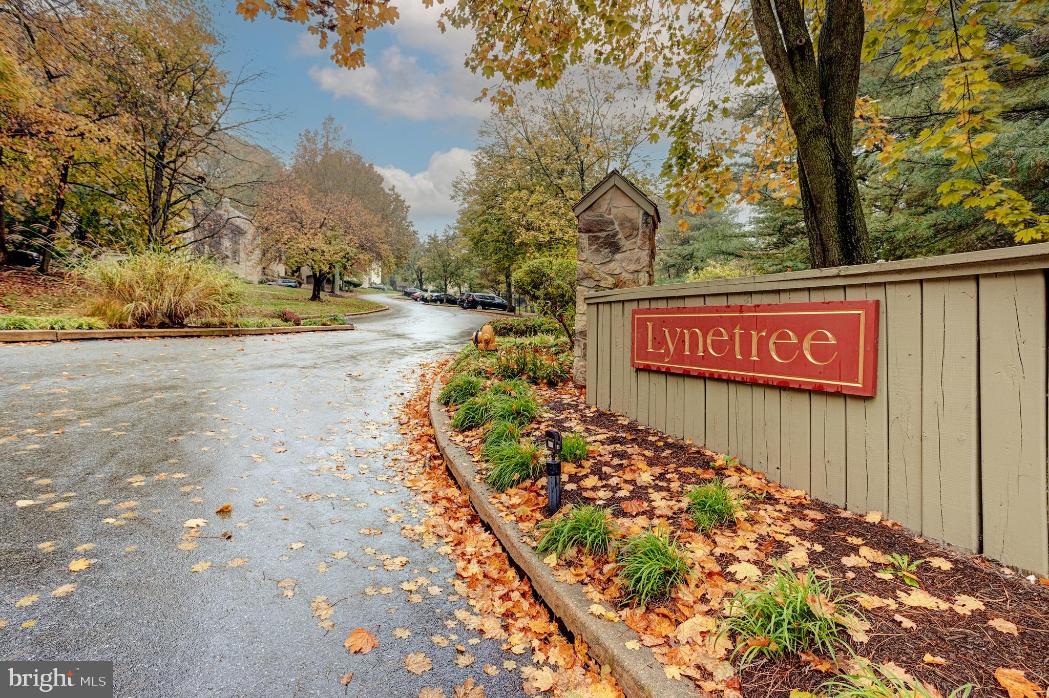 LYNETREE - Residential