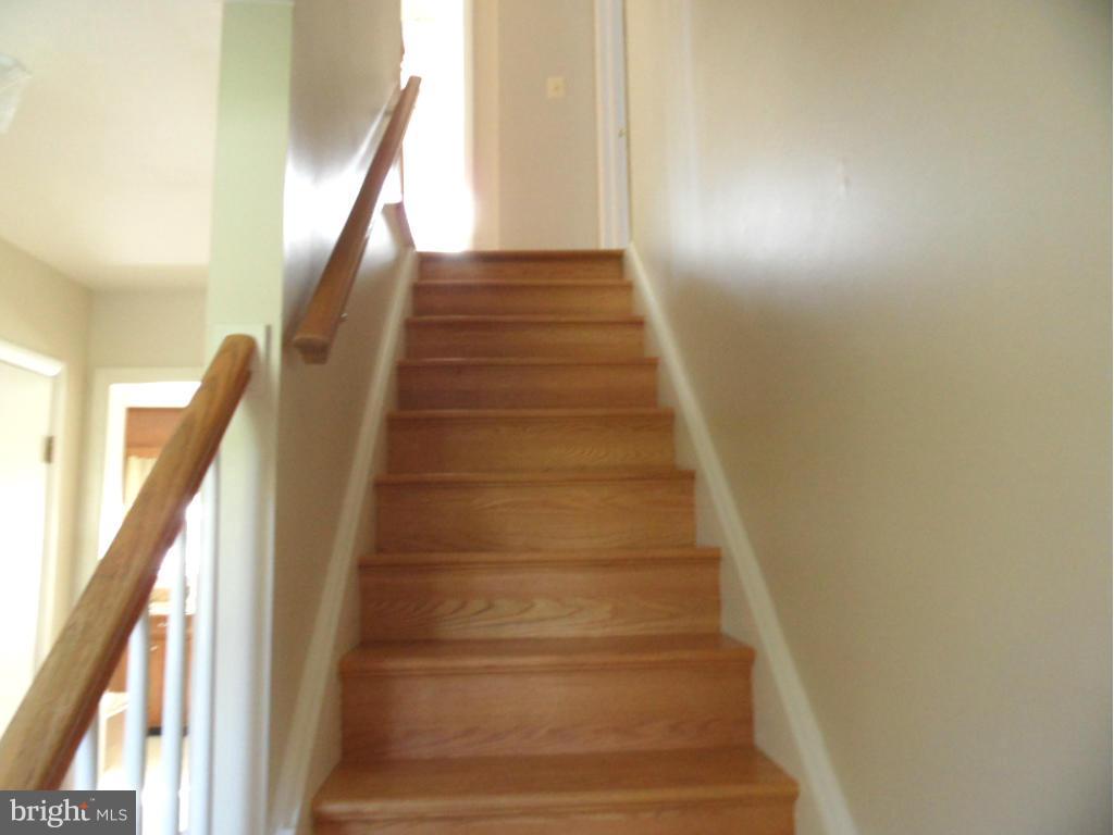 BOONE MEADOWS - Residential Lease