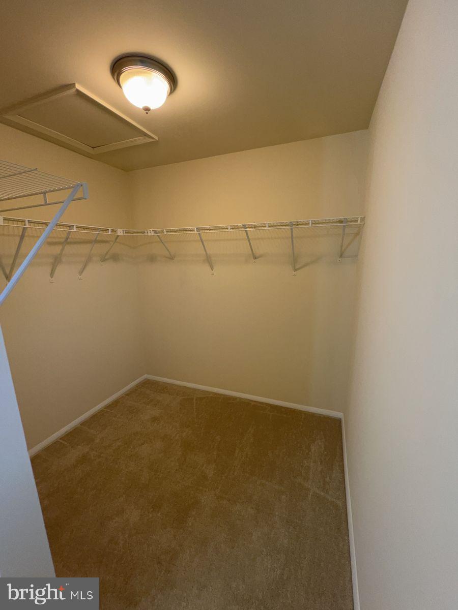 AMBER MEADOWS - Residential Lease