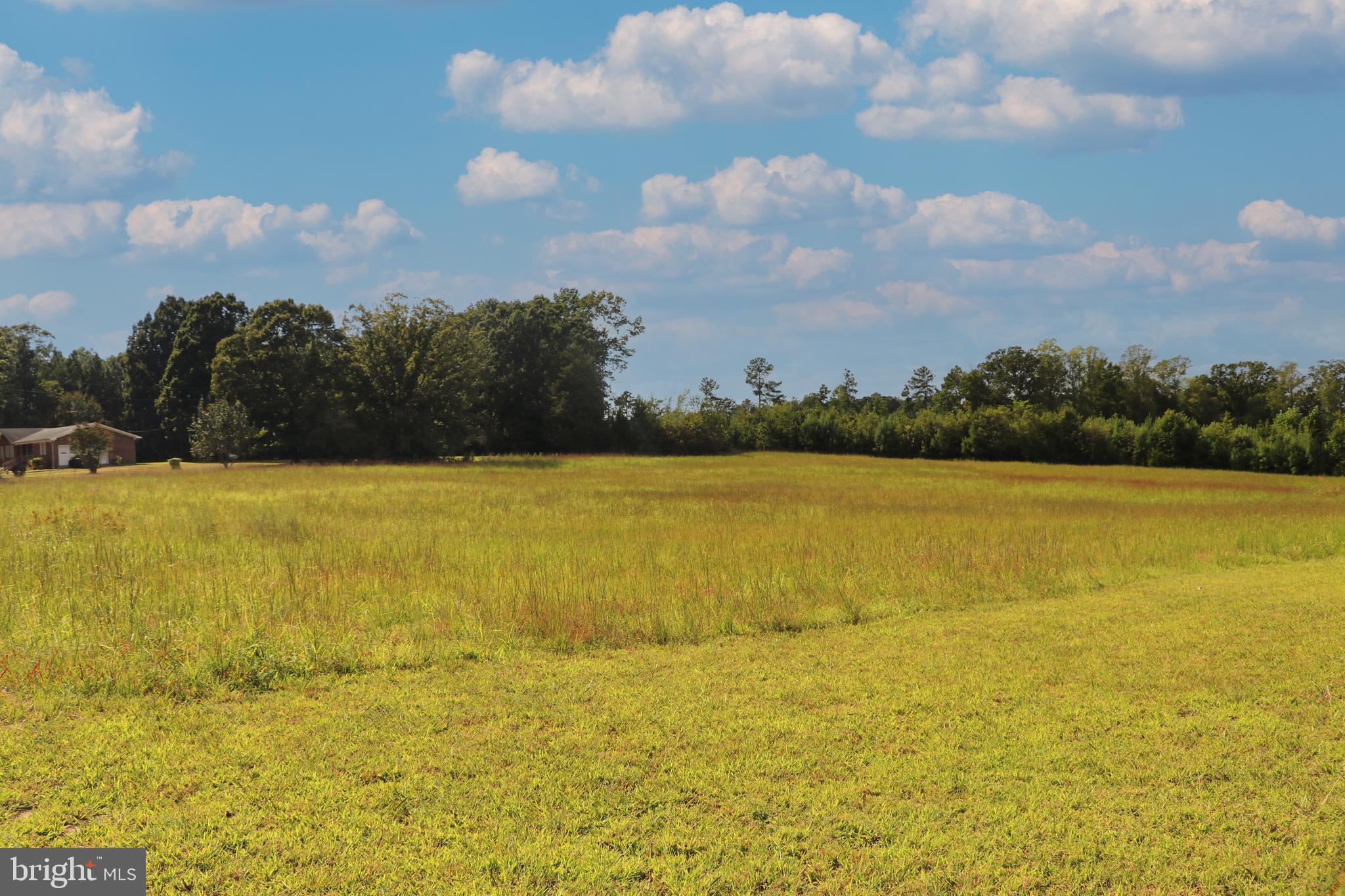 MINERAL SPRINGS ROAD PARCEL 36735