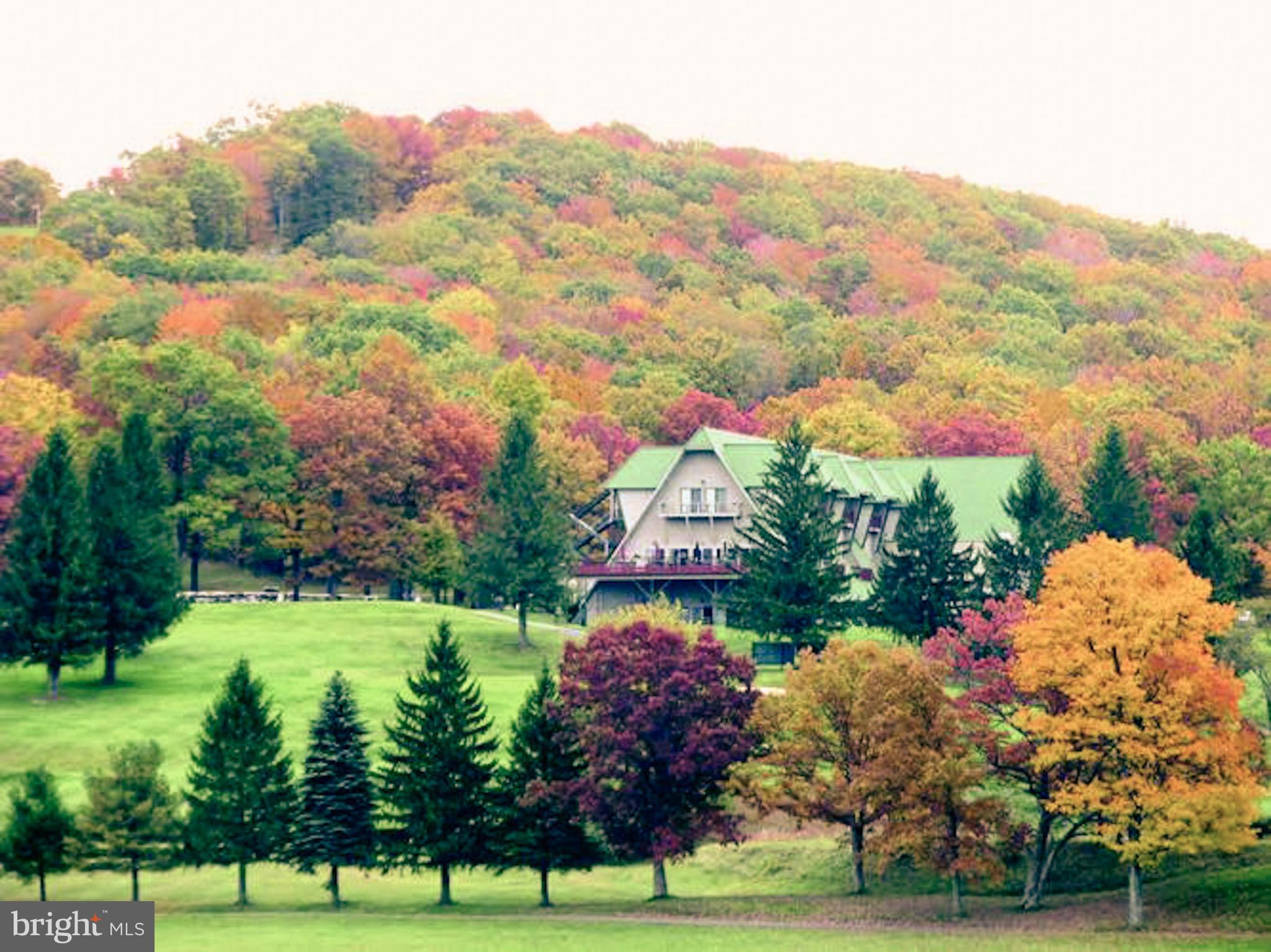 ALPINE LAKE  RESORT - Residential