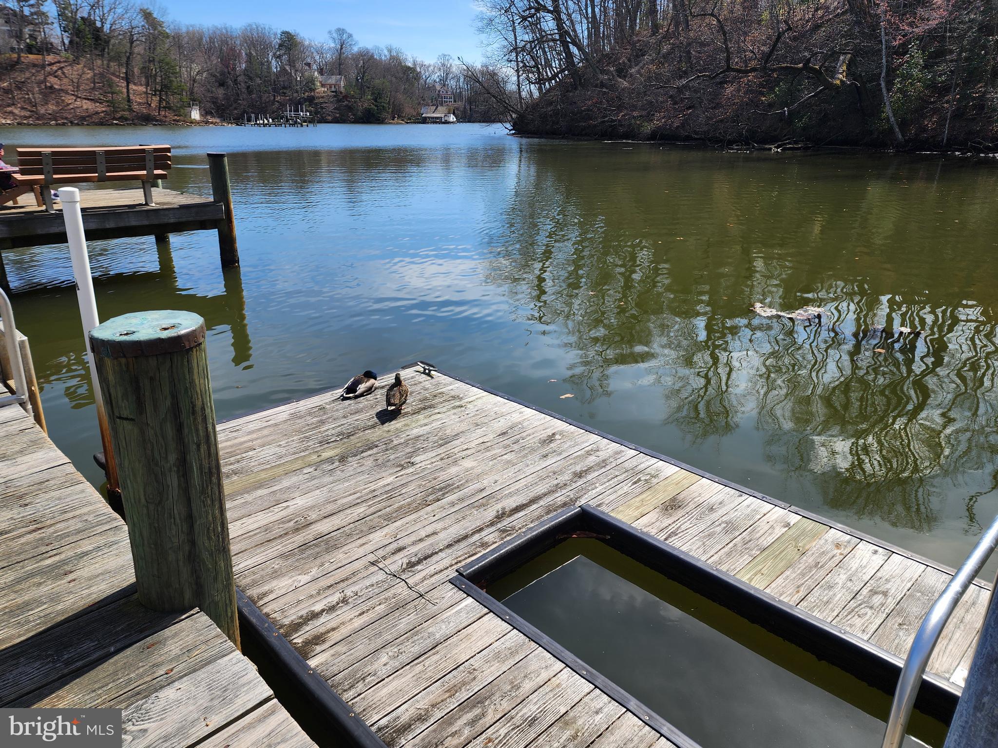 RIVA TRACE/SUMMER PLACE - Residential