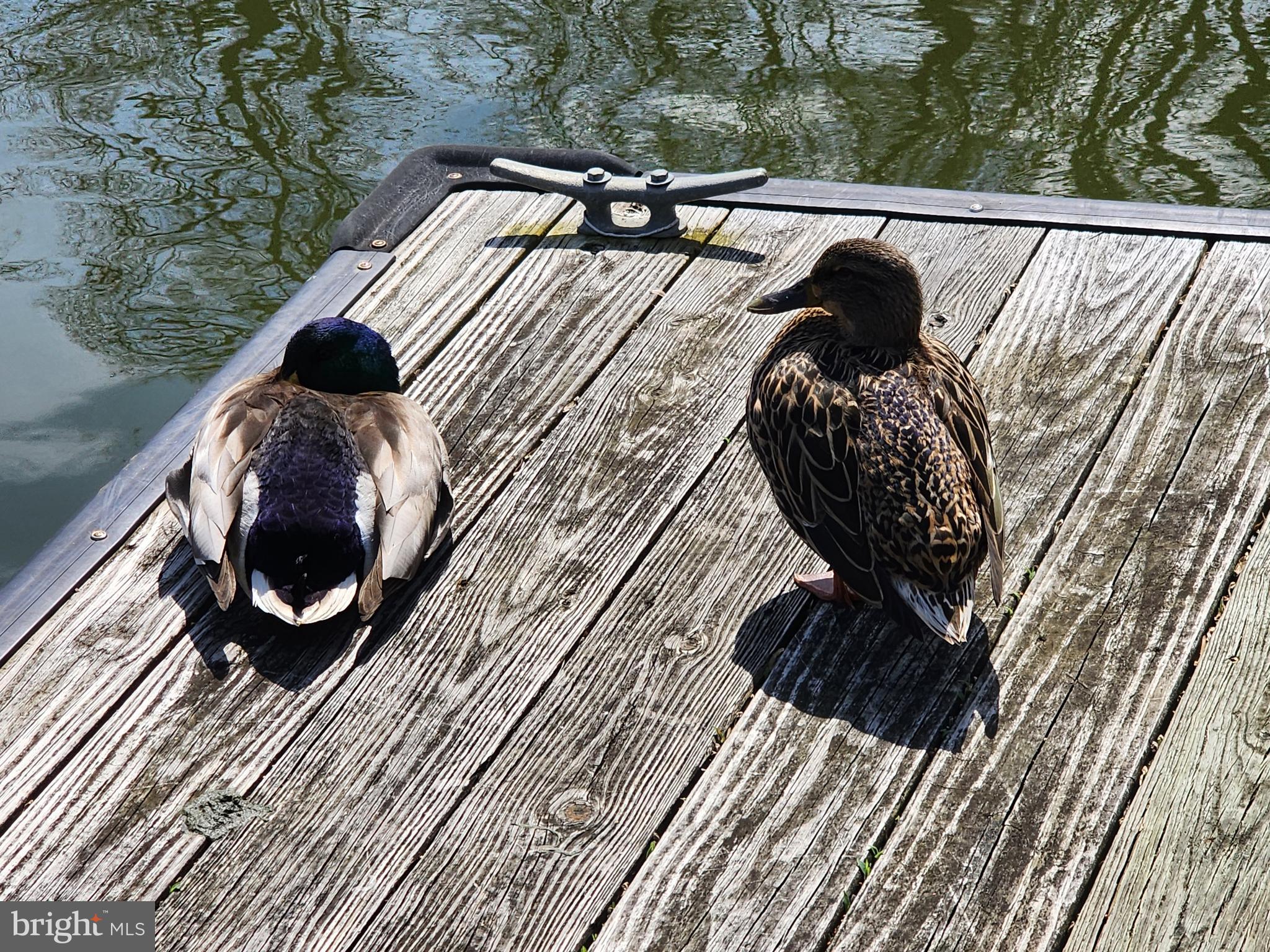 RIVA TRACE/SUMMER PLACE - Residential