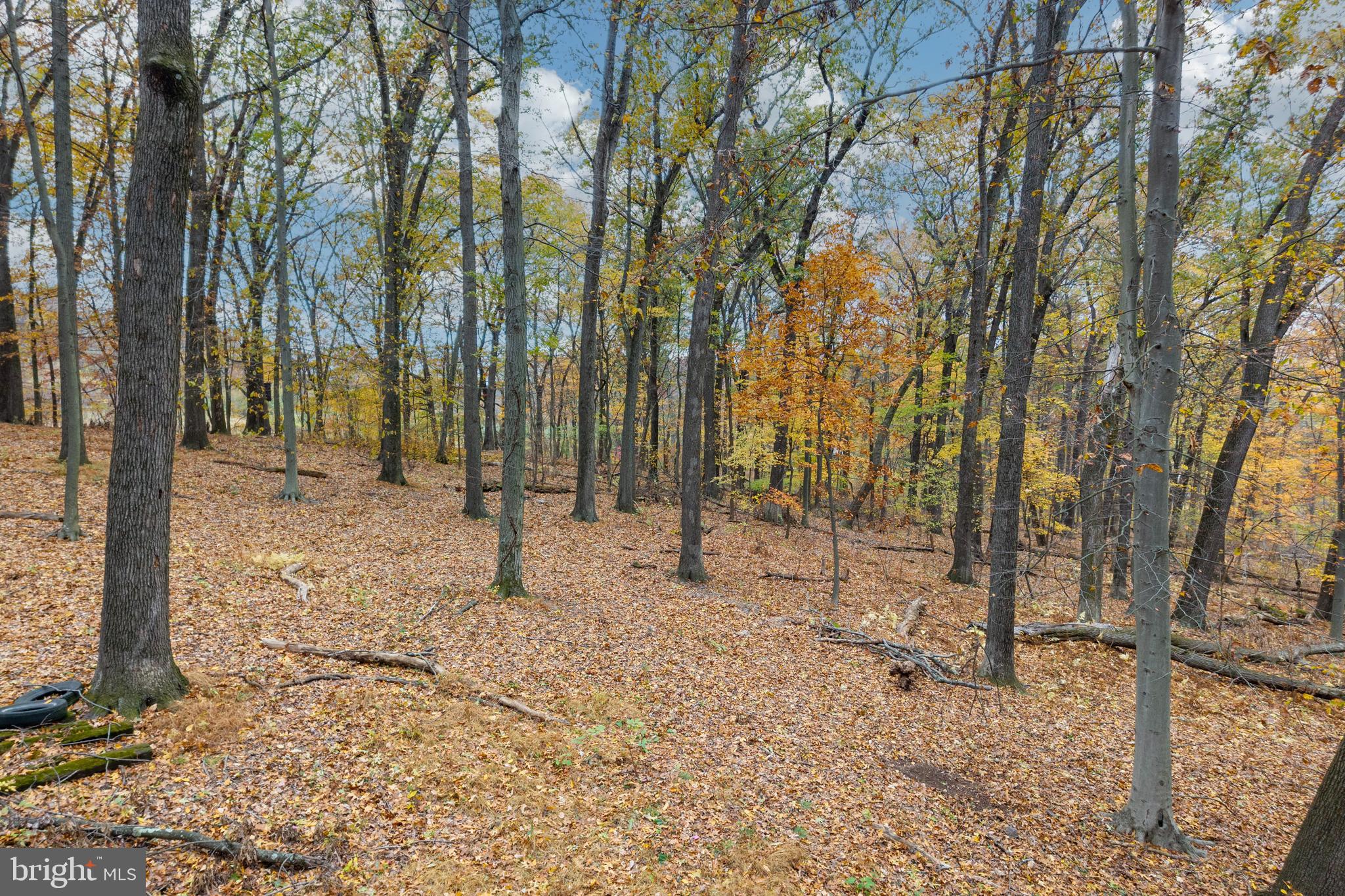 SPRINGFIELD - Residential