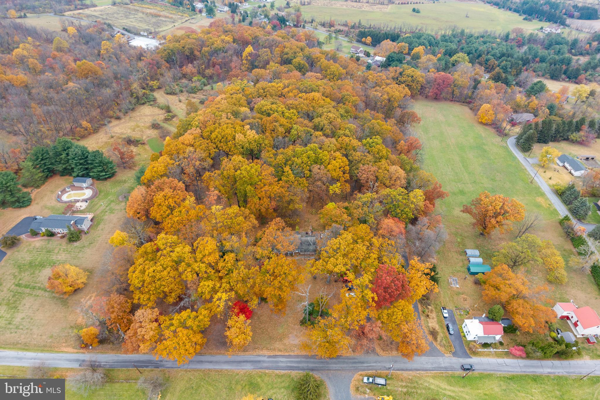 SPRINGFIELD - Residential