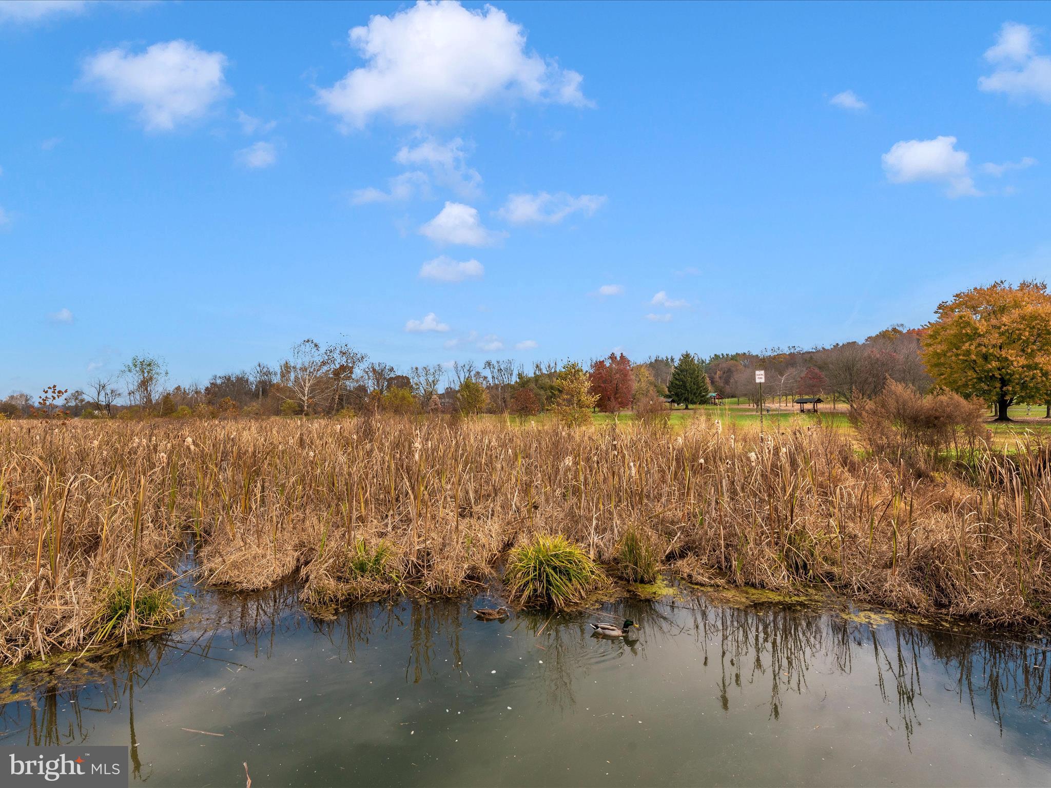 ROSEWOOD - Residential