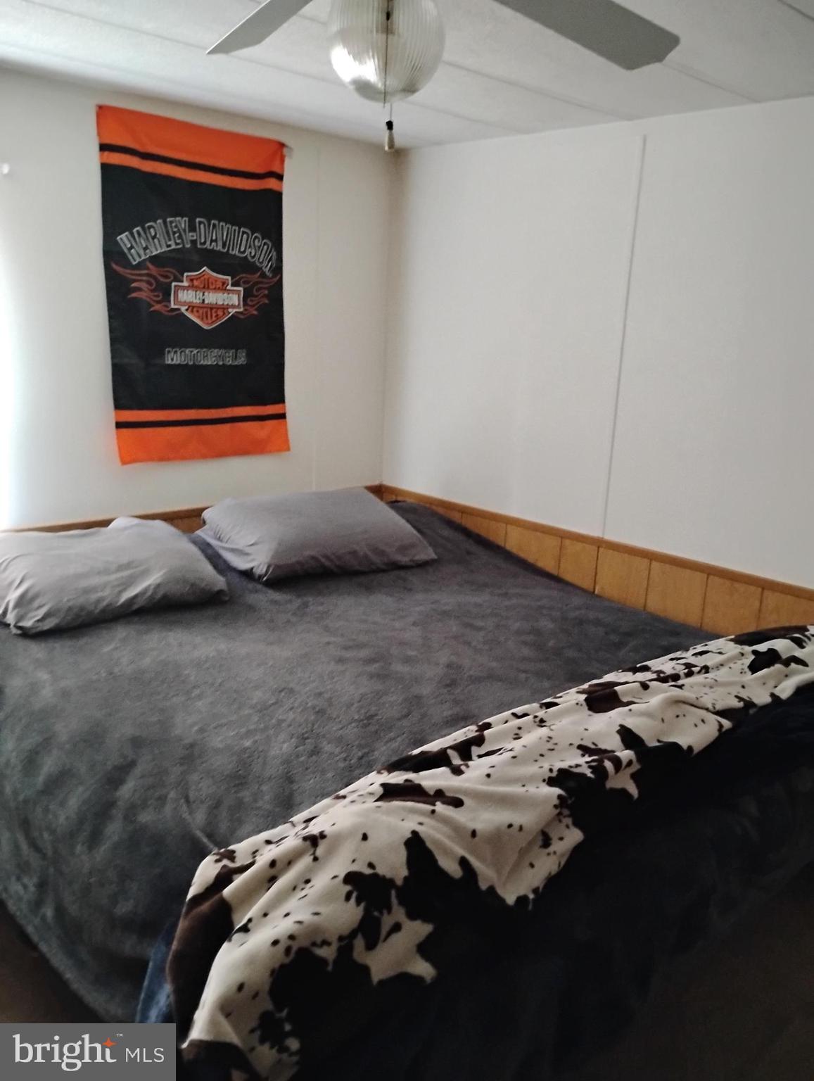 OCTORARO - Residential