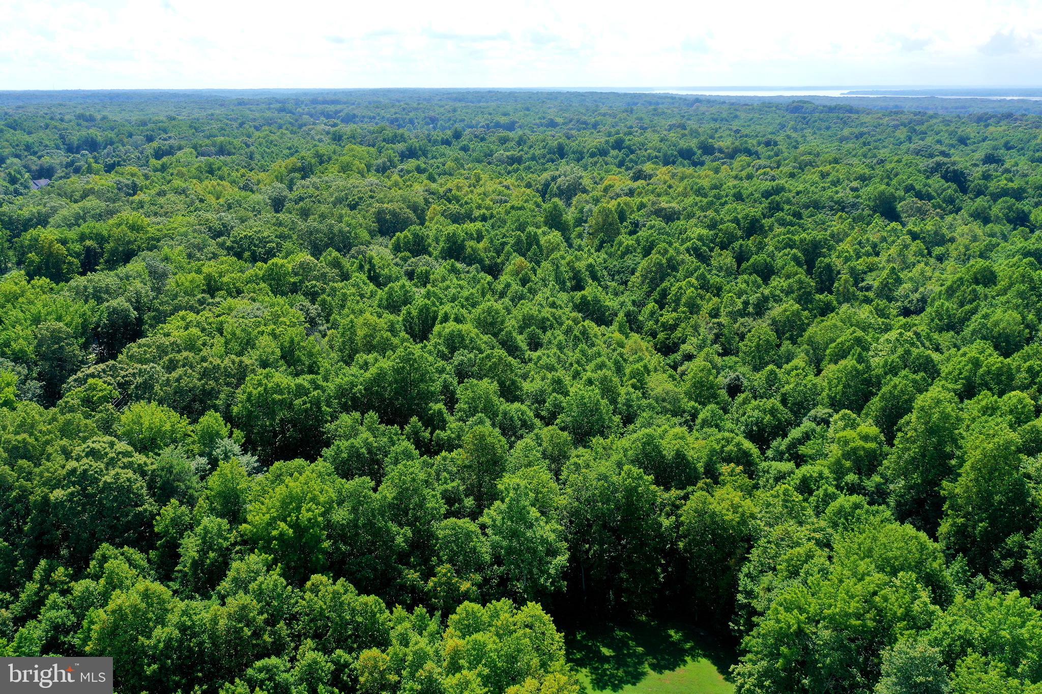 THE MEADOWS AT DAHLGREN - Residential