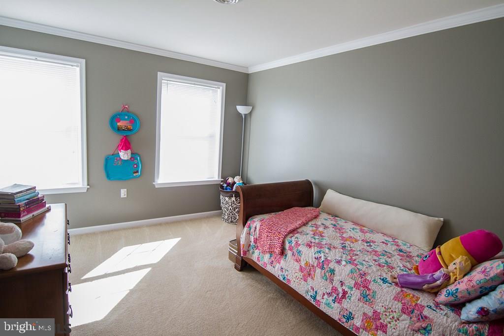 SPRINGFIELD - Residential