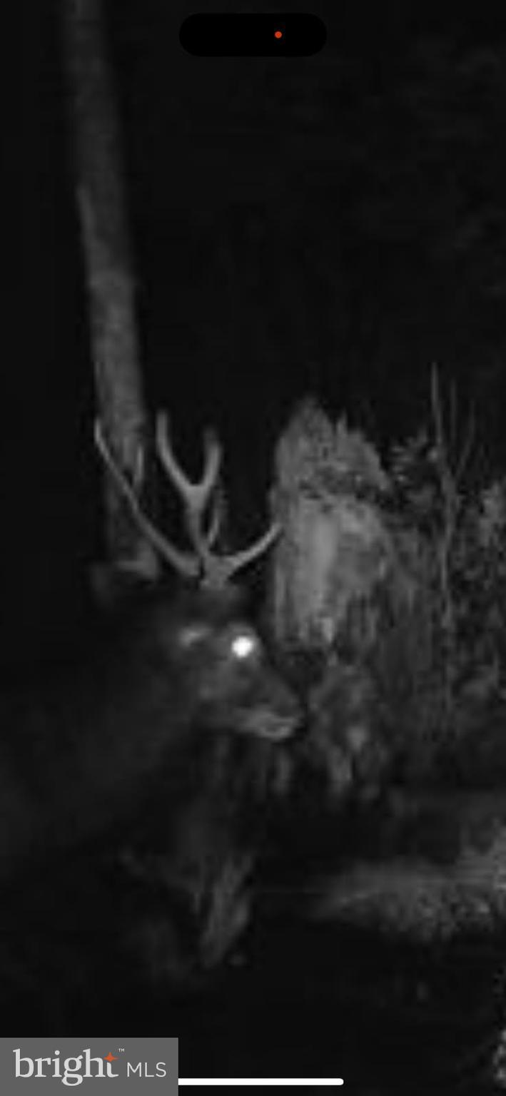 2265 WINGATE BISHOPS HEAD ROAD