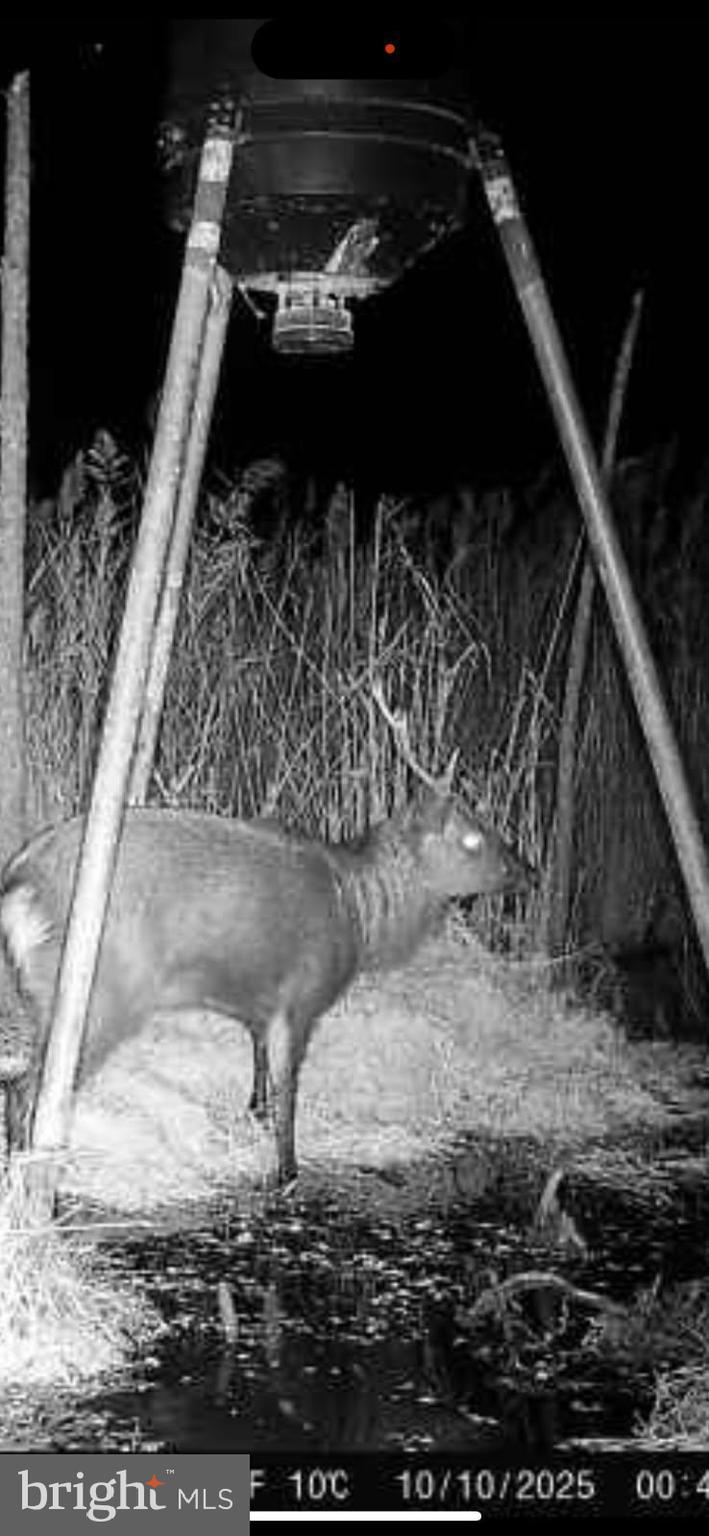 2265 WINGATE BISHOPS HEAD ROAD