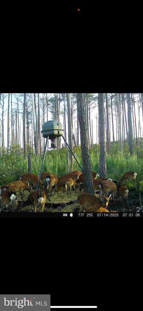 2265 WINGATE BISHOPS HEAD ROAD WINGATE MD 21675