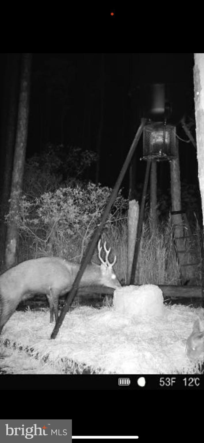 2265 WINGATE BISHOPS HEAD ROAD