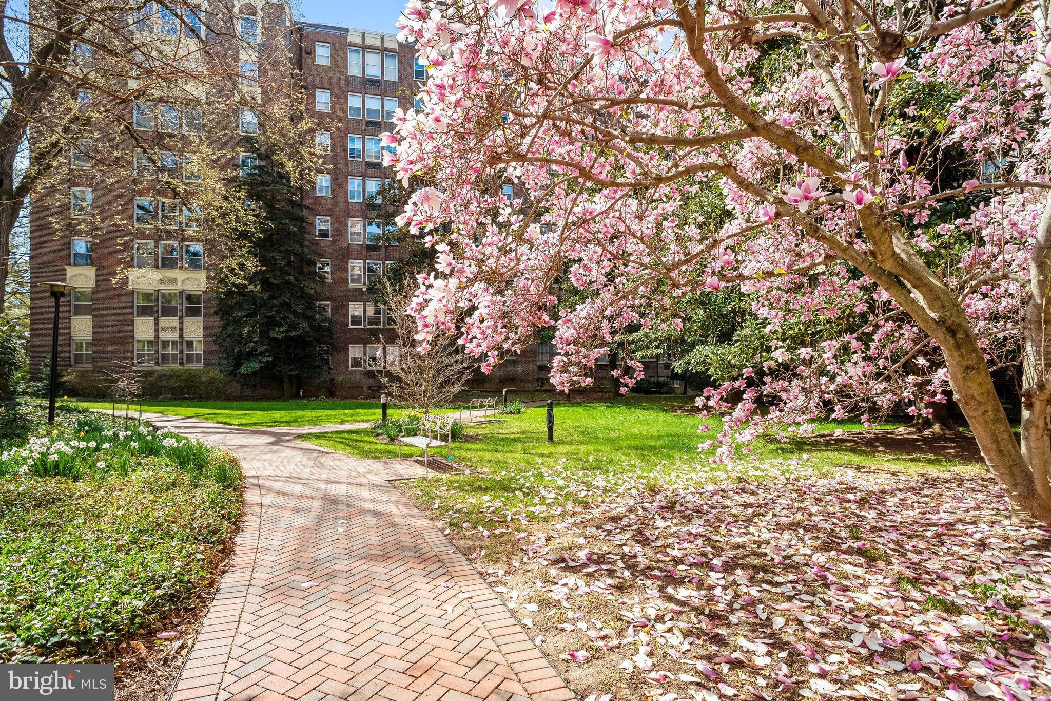 4000 CATHEDRAL AVENUE NW 848/849B