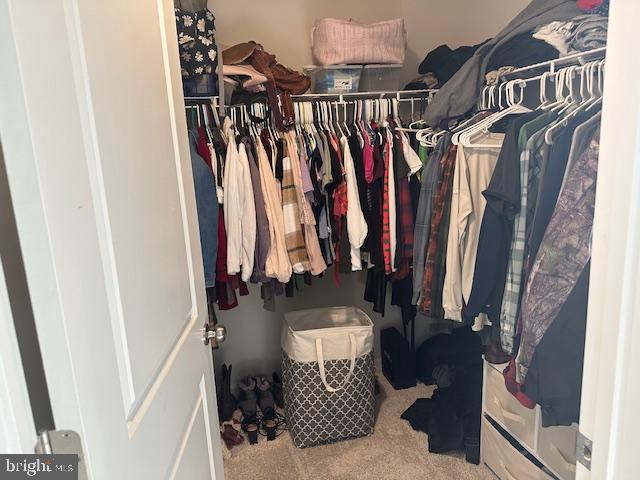 MAGNOLIA SPRINGS - Residential