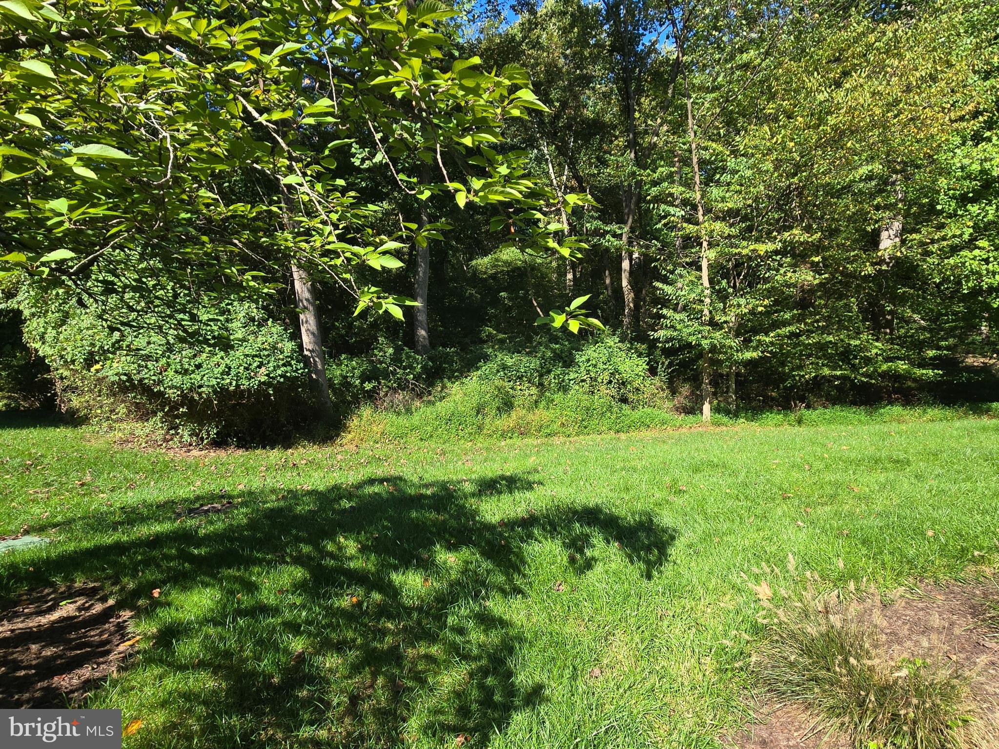 WILLOW POINT - Residential