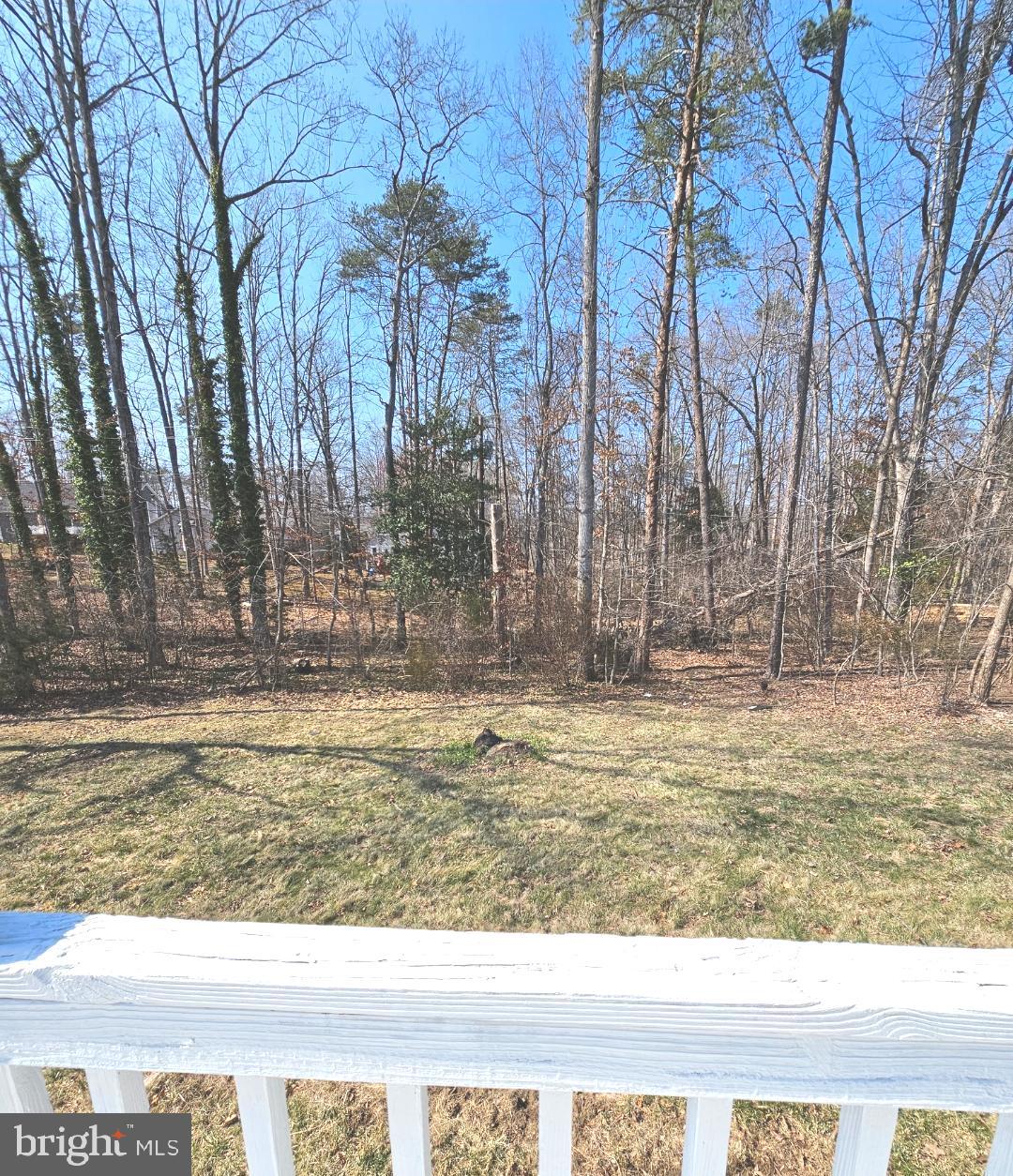 LAKE OF THE WOODS - Residential Lease