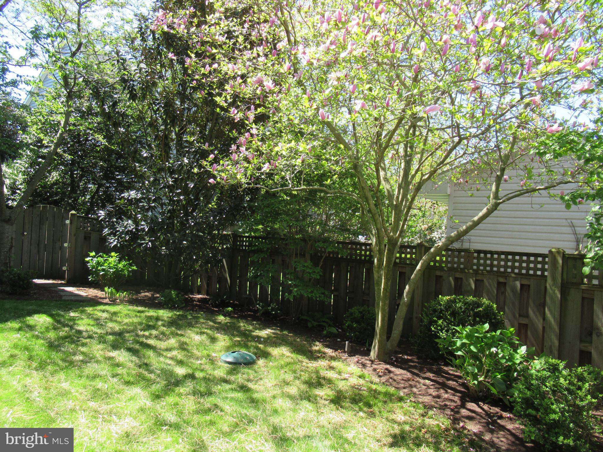 ST MICHAELS - Residential