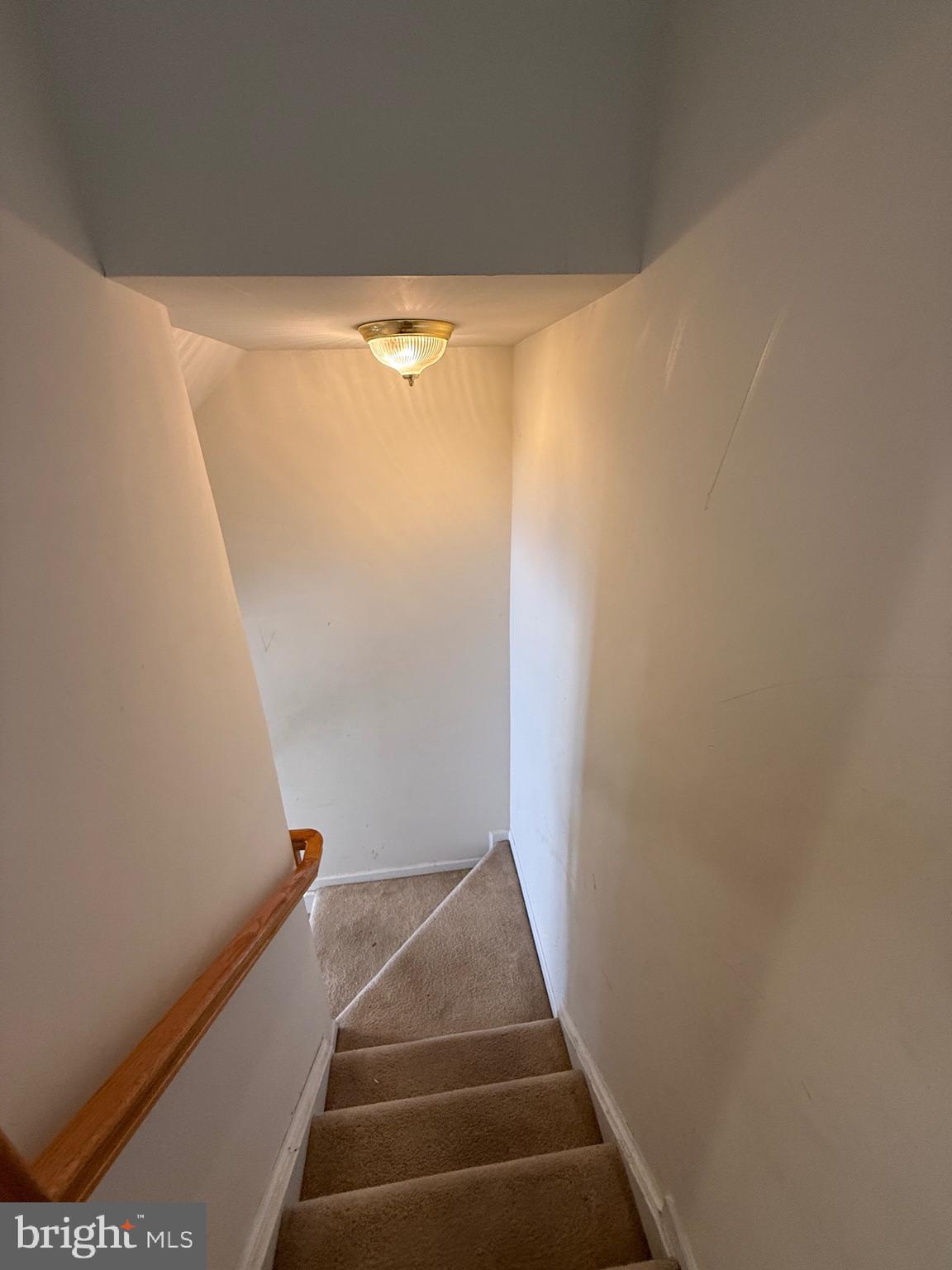 WILLOW OAKS - Residential