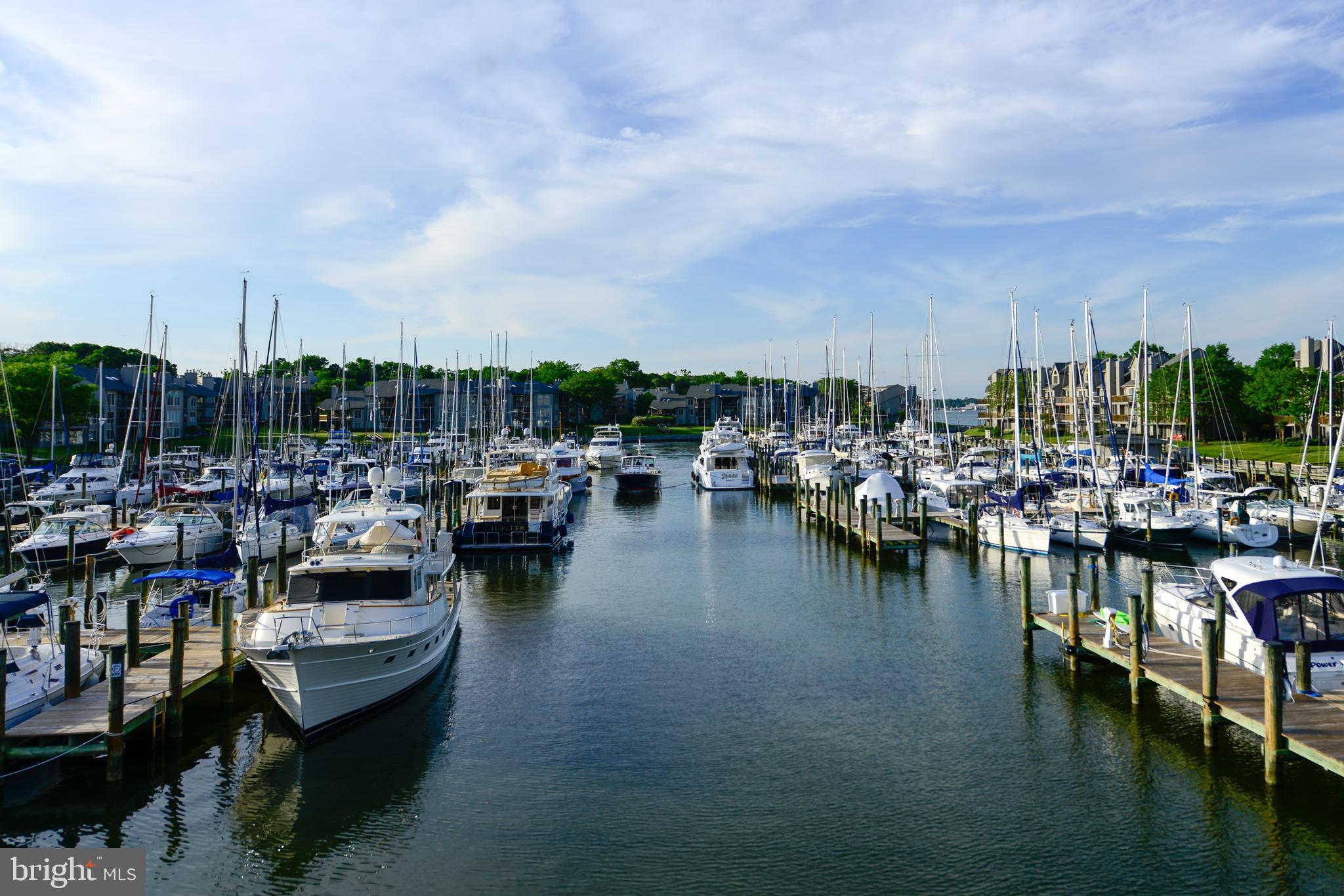 CHESAPEAKE HARBOUR - Residential