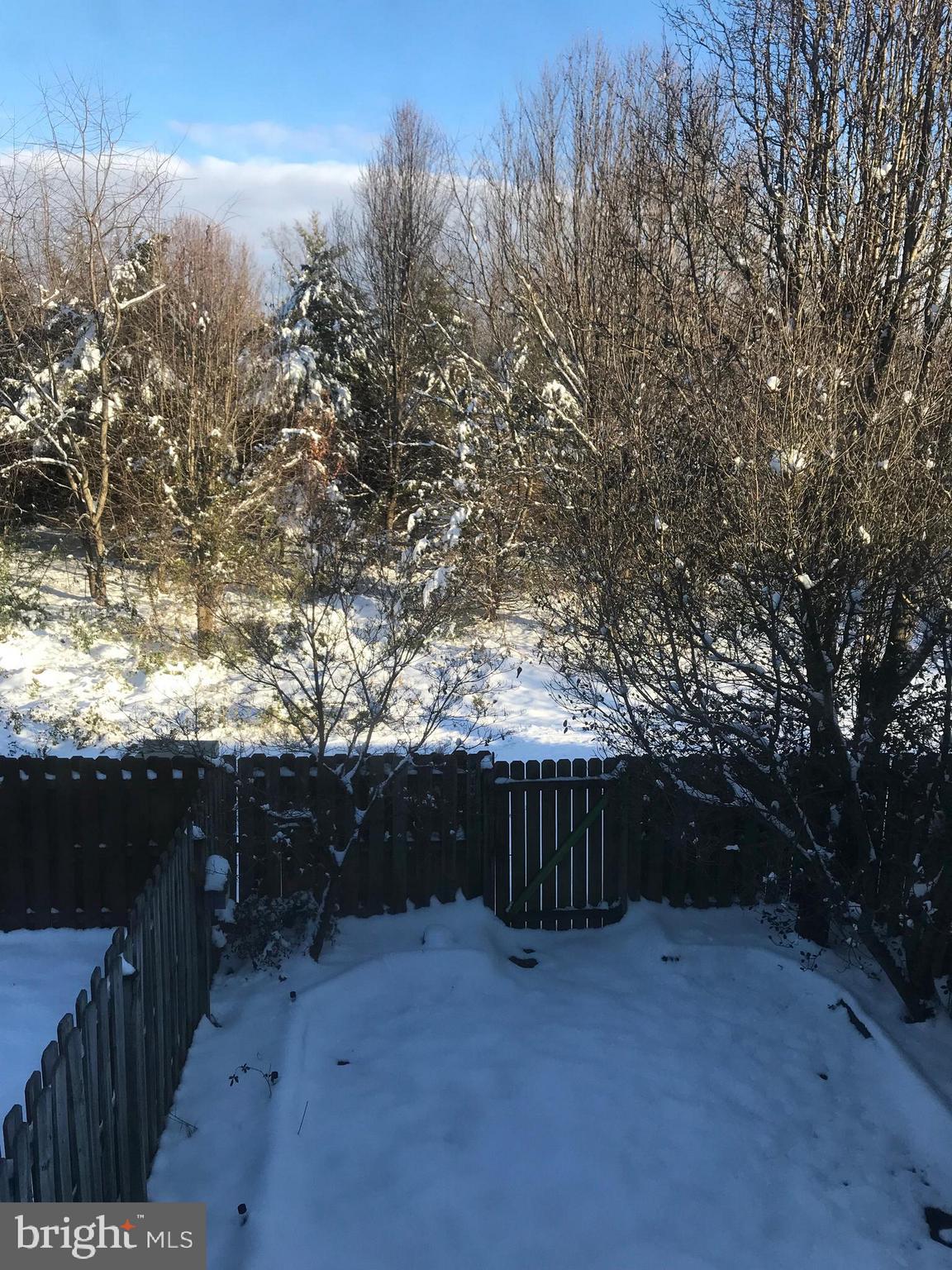 BREEZEWOOD FOREST EAST - Residential Lease