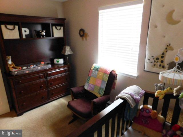 STONEBRIDGE CROSSING - Residential