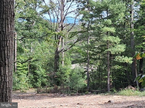Vacant Land For Sale - 22 Oak Lane<br/> LURAY, VA 22835