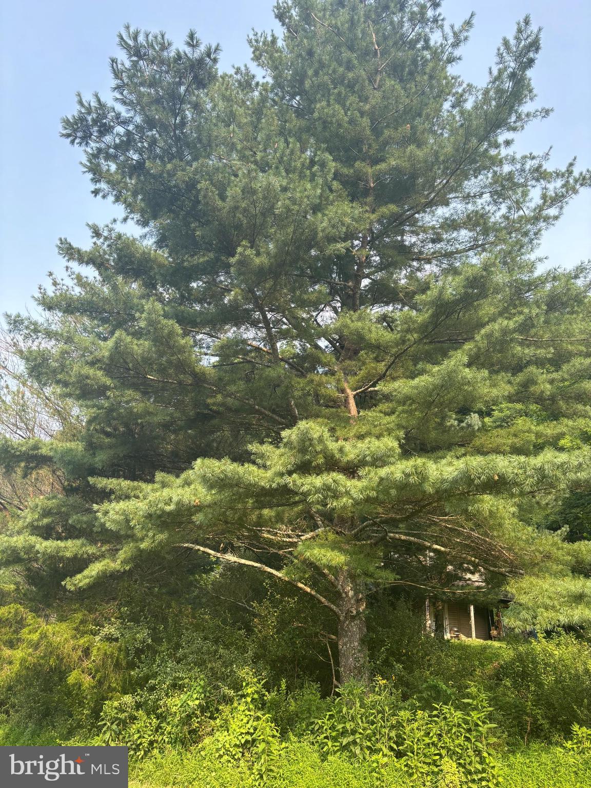 937 WILDLIFE DRIVE